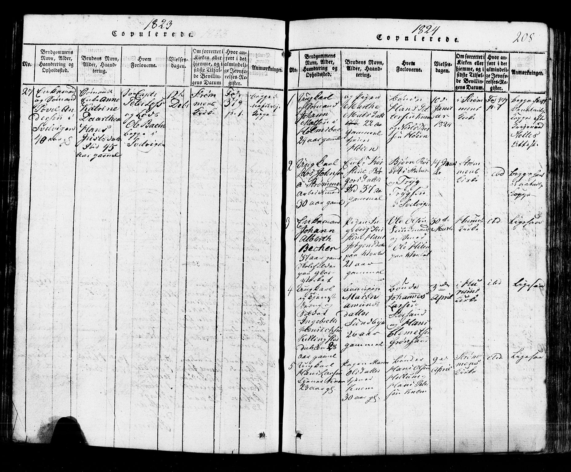 Hurum kirkebøker, SAKO/A-229/G/Ga/L0001: Parish register (copy) no. I 1, 1816-1826, p. 208