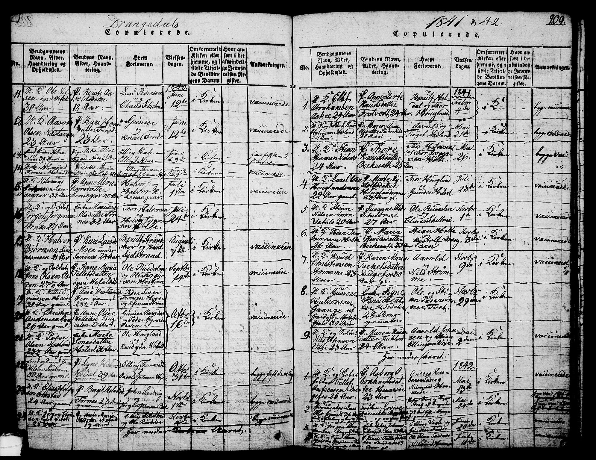 Drangedal kirkebøker, SAKO/A-258/G/Ga/L0001: Parish register (copy) no. I 1 /1, 1814-1856, p. 209