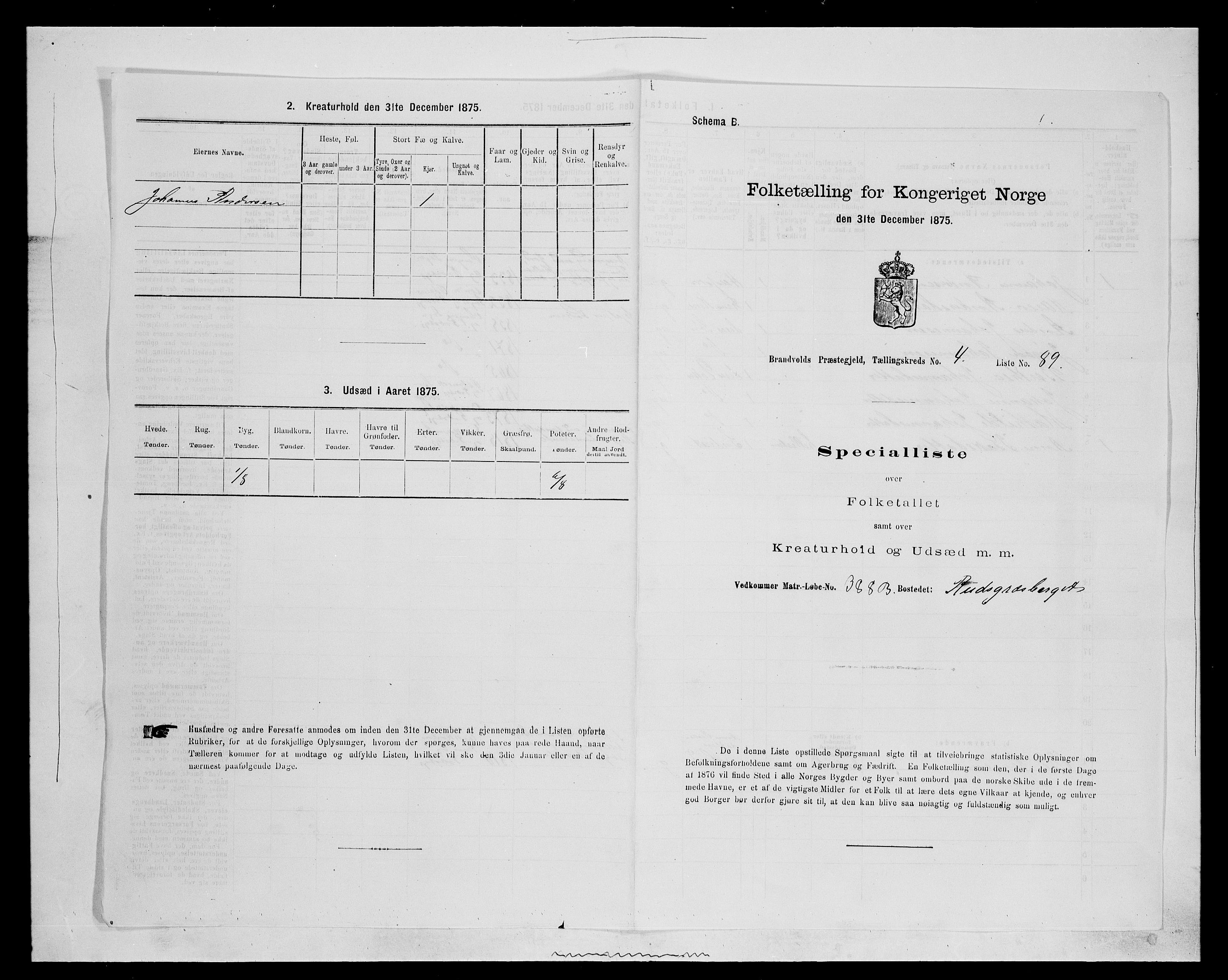 SAH, 1875 census for 0422P Brandval, 1875, p. 712