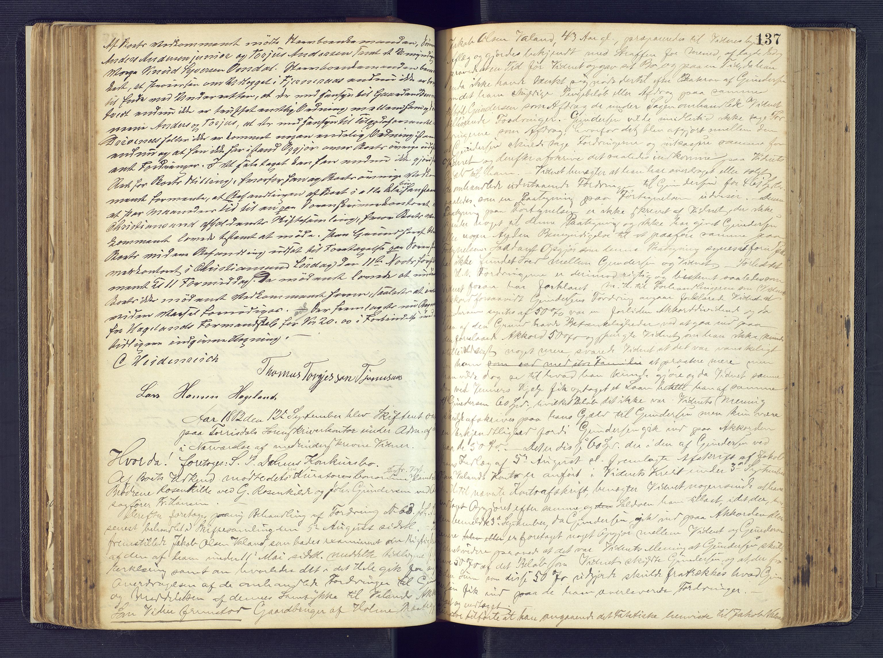 Torridal sorenskriveri, AV/SAK-1221-0012/H/Hc/L0017: Skifteforhandlingsprotokoll med navneregister nr. 3, 1878-1890, p. 137