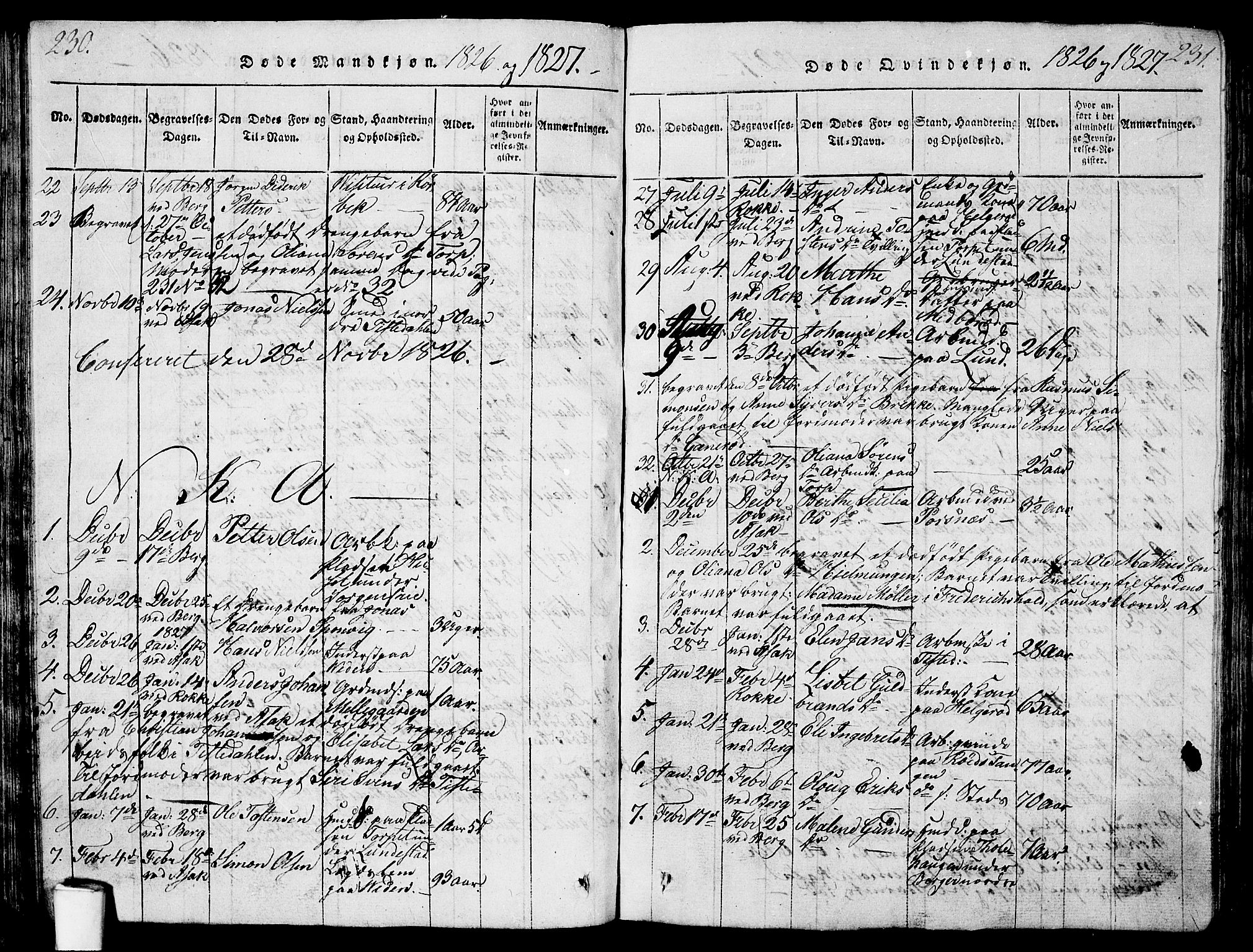 Berg prestekontor Kirkebøker, AV/SAO-A-10902/G/Ga/L0001: Parish register (copy) no. I 1, 1815-1832, p. 230-231