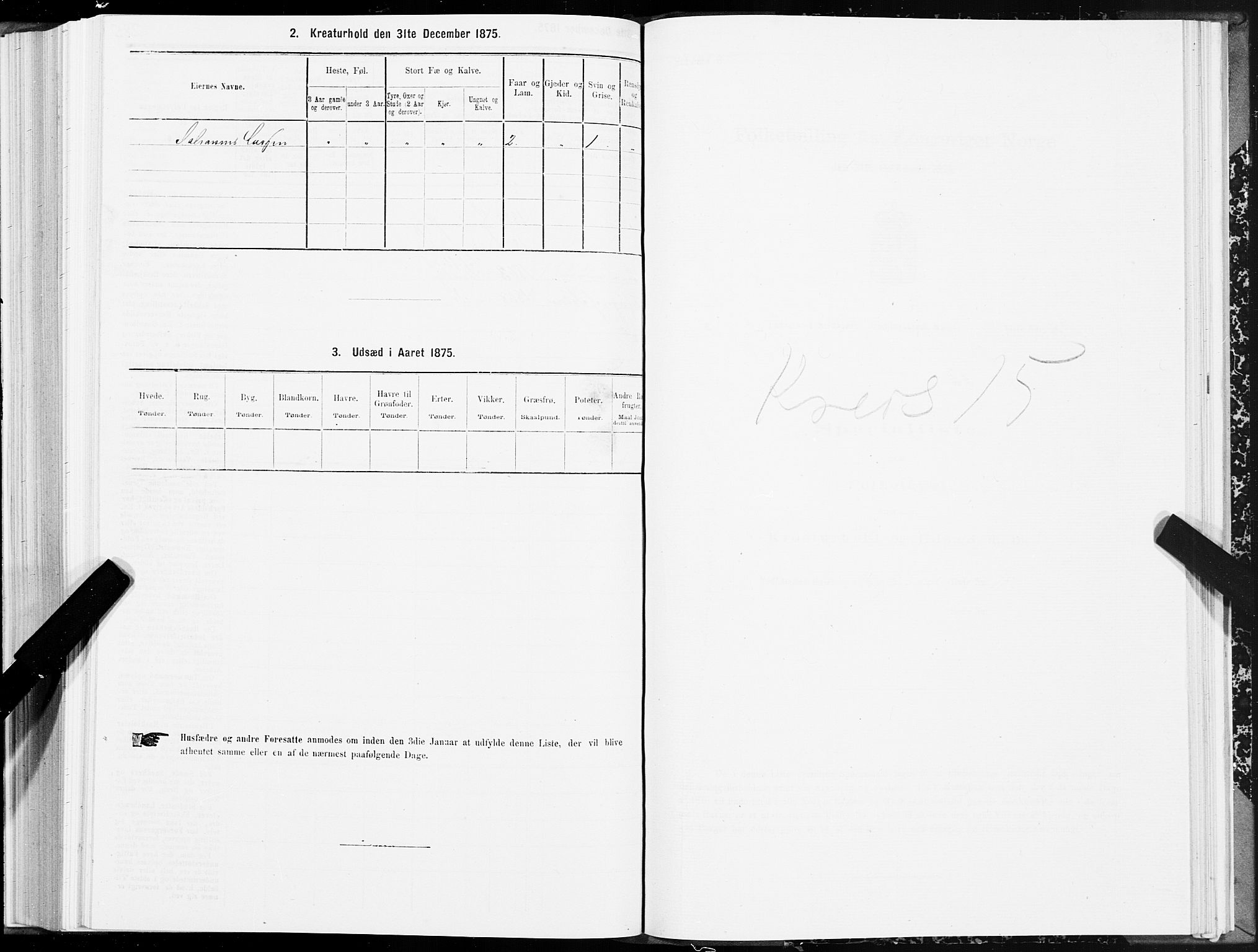 SAT, 1875 census for 1702B Steinkjer/Steinkjer, 1875