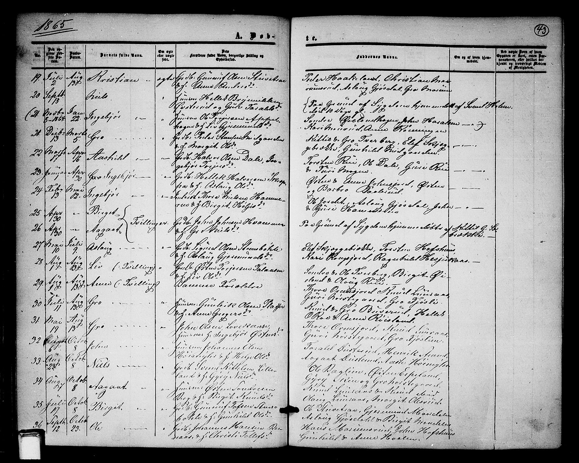 Tinn kirkebøker, SAKO/A-308/G/Ga/L0002: Parish register (copy) no. I 2, 1851-1883, p. 43