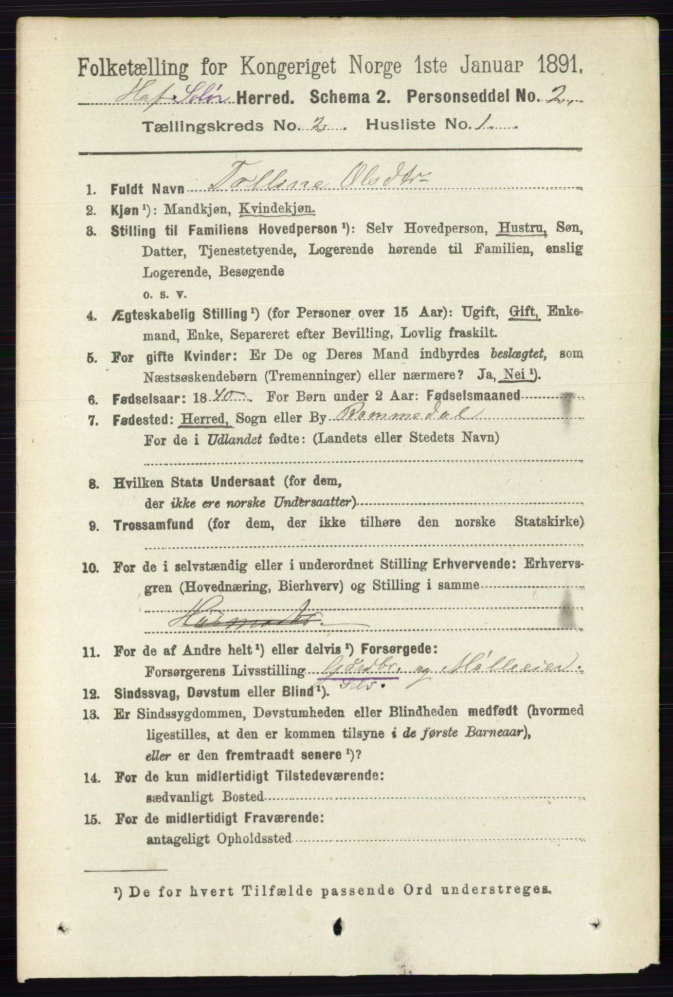 RA, 1891 census for 0424 Hof, 1891, p. 460