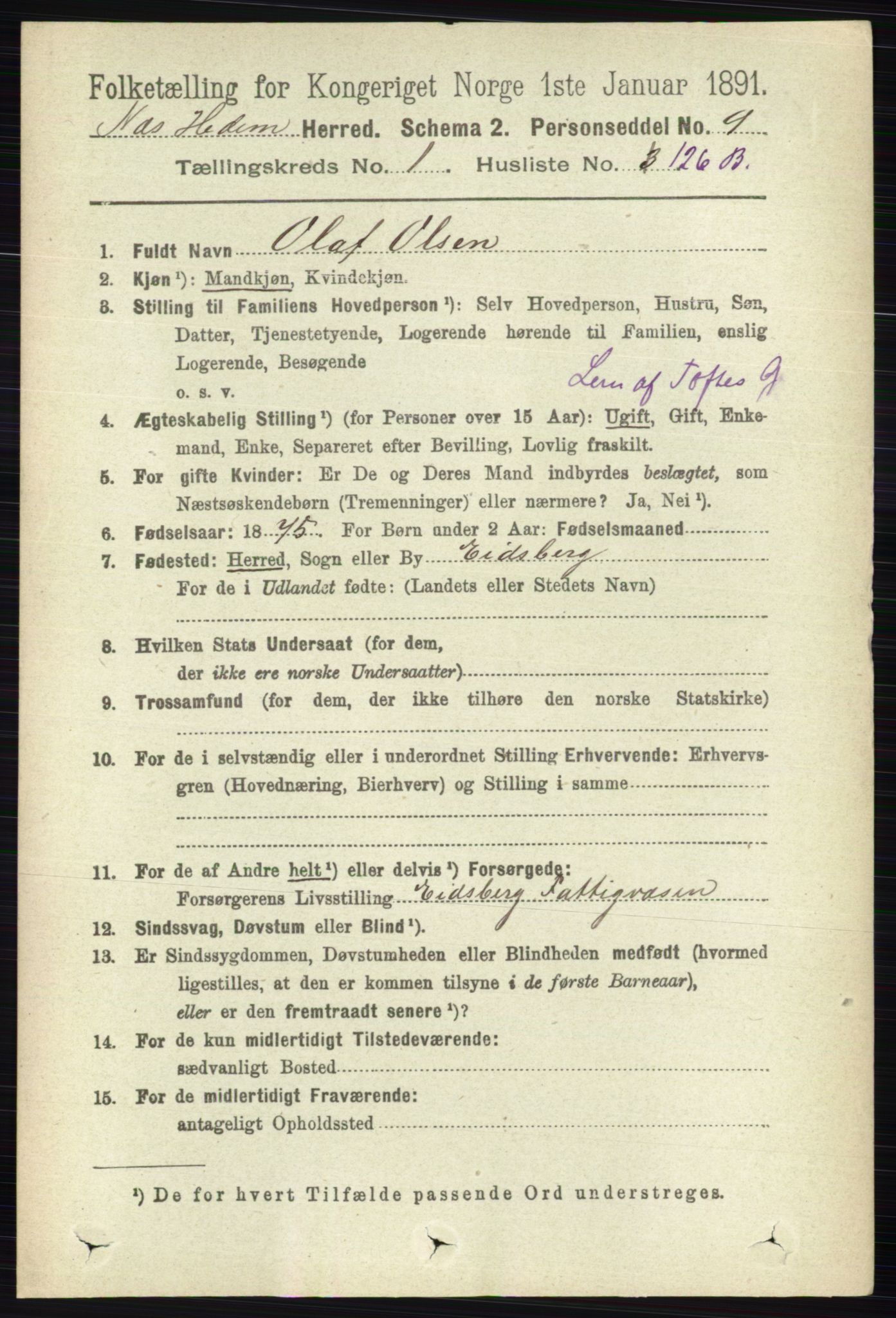 RA, 1891 census for 0411 Nes, 1891, p. 916