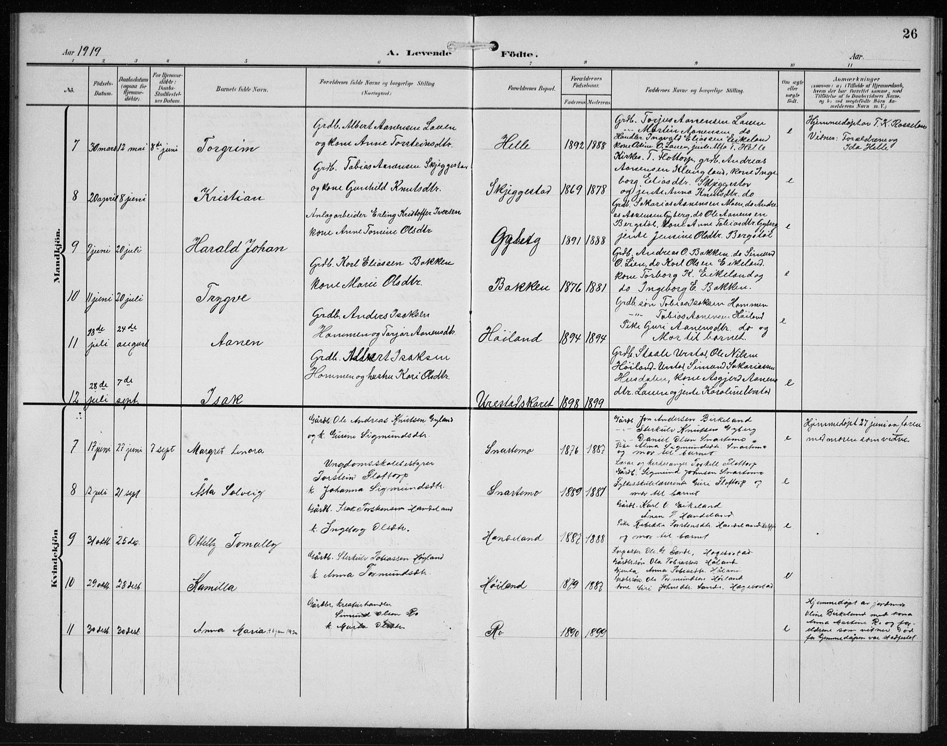 Hægebostad sokneprestkontor, SAK/1111-0024/F/Fb/Fba/L0005: Parish register (copy) no. B 5, 1907-1931, p. 26