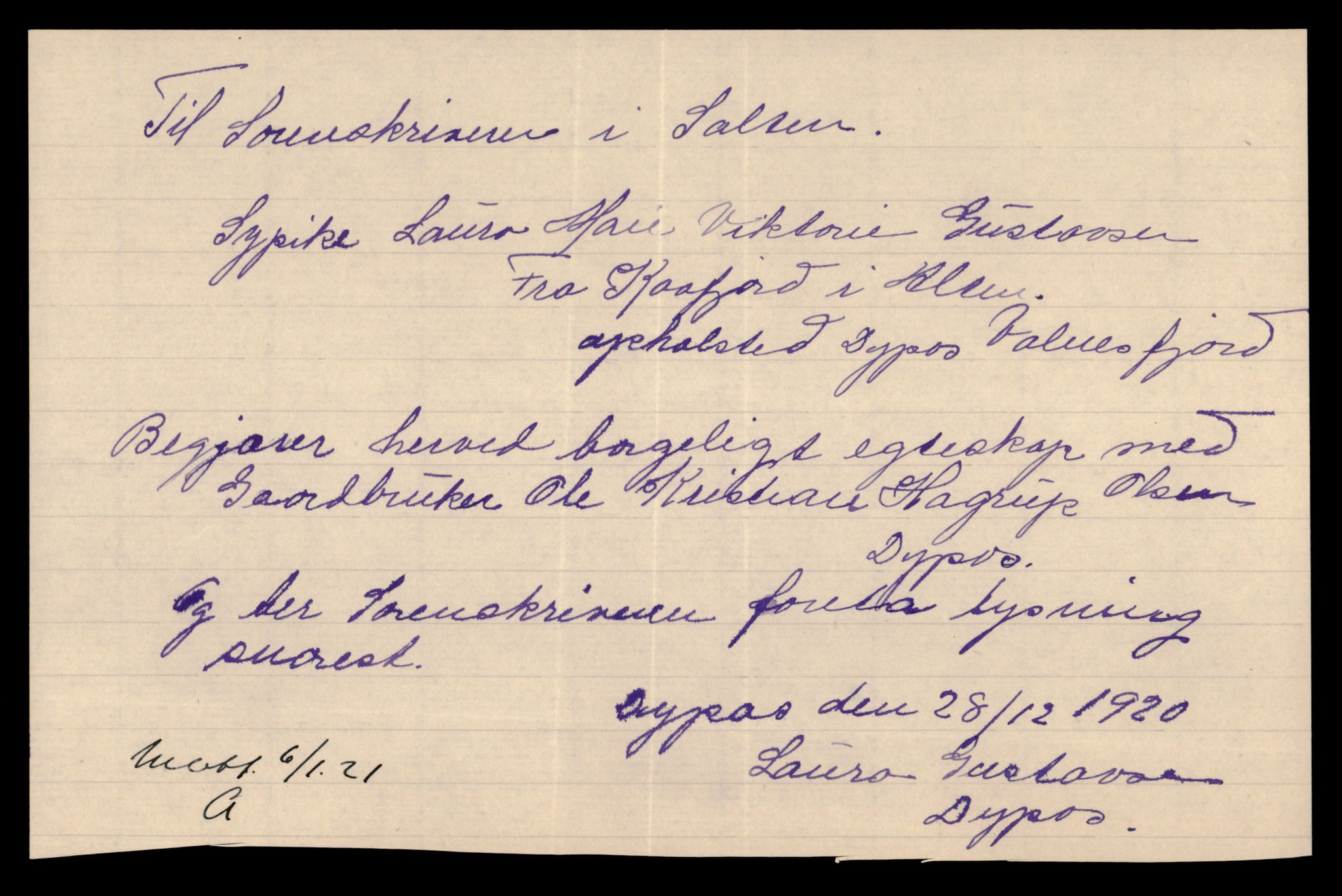 Salten sorenskriveri, AV/SAT-A-4578/1/6/6D/L0009: Lysingsbok, 1919-1928, p. 17