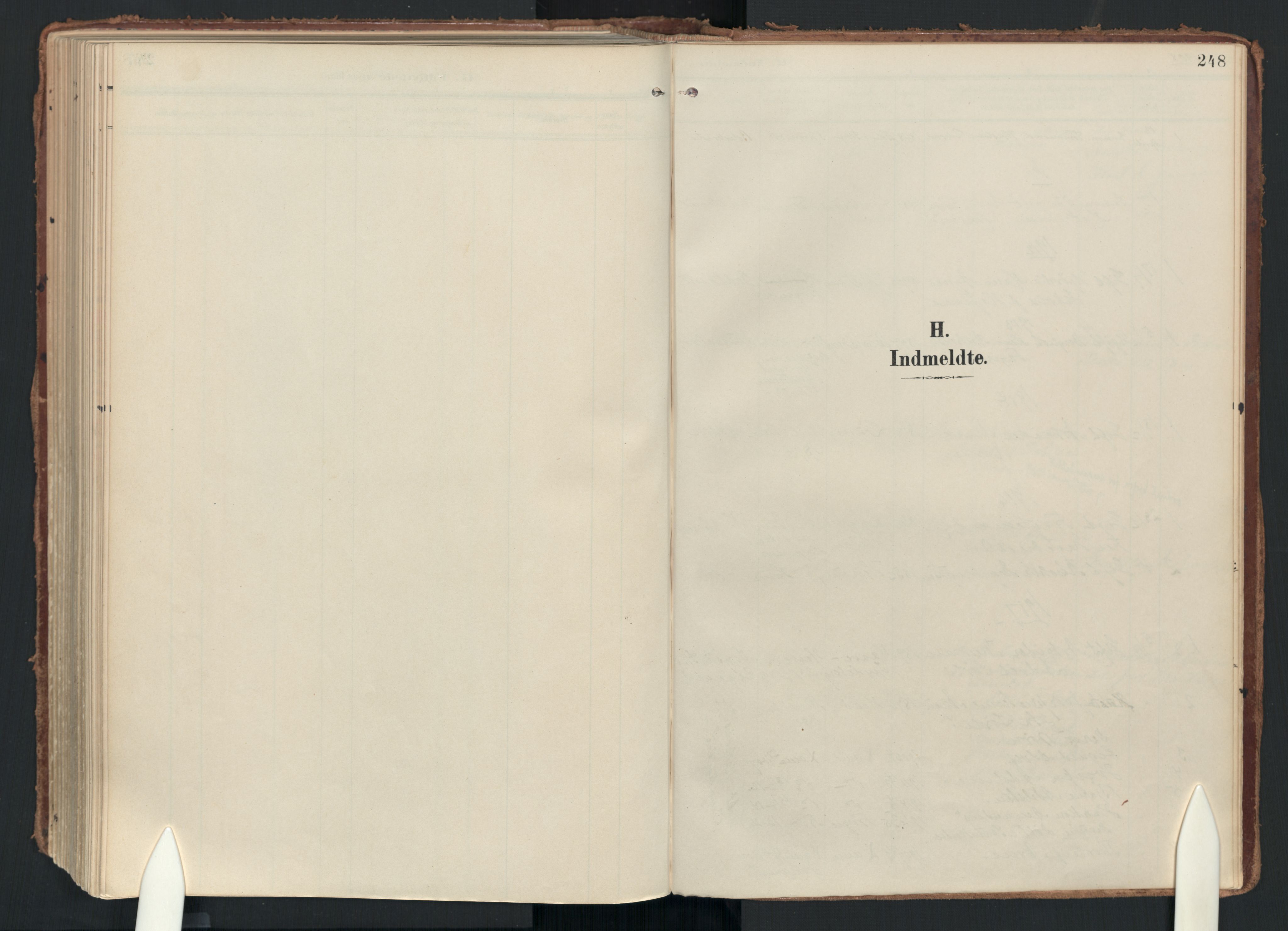 Drøbak prestekontor Kirkebøker, SAO/A-10142a/F/Fc/L0003: Parish register (official) no. III 3, 1901-1920, p. 248