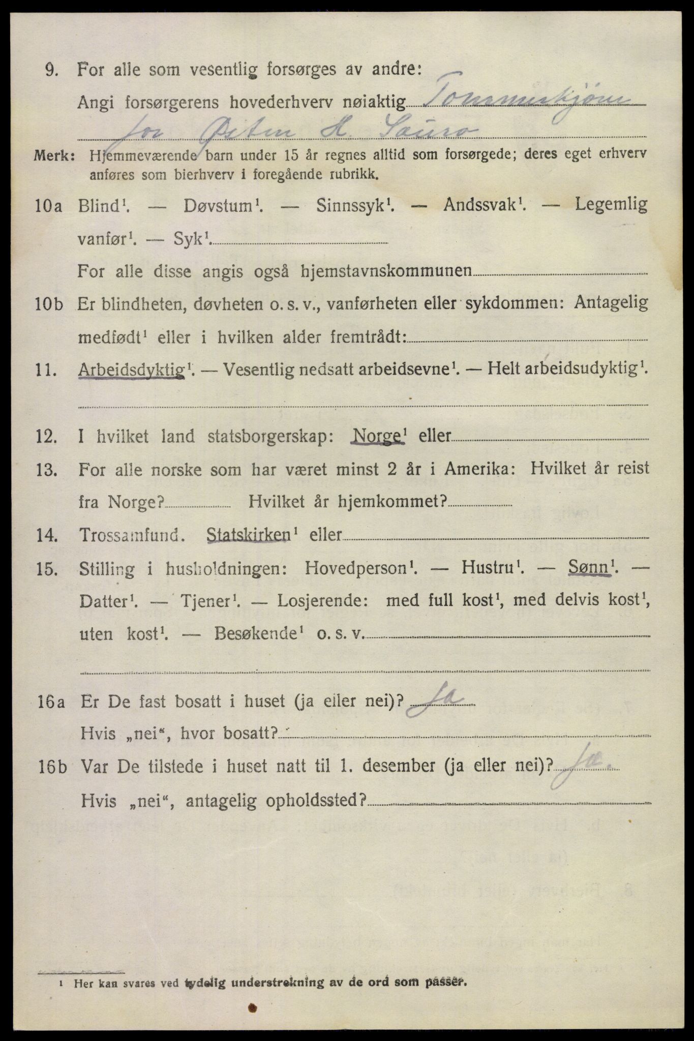 SAKO, 1920 census for Hovin, 1920, p. 992