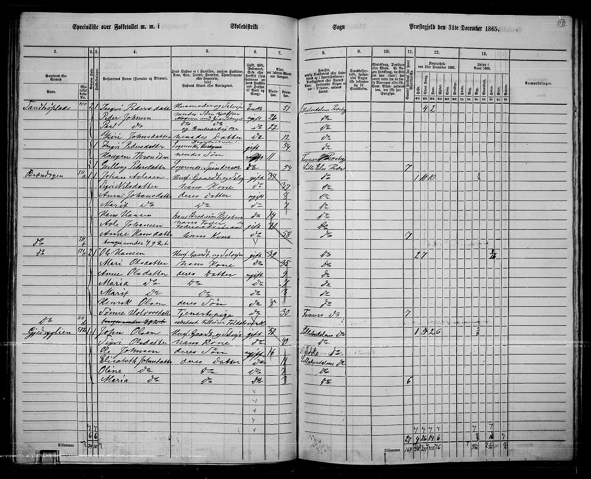 RA, 1865 census for Lille Elvedalen, 1865, p. 100