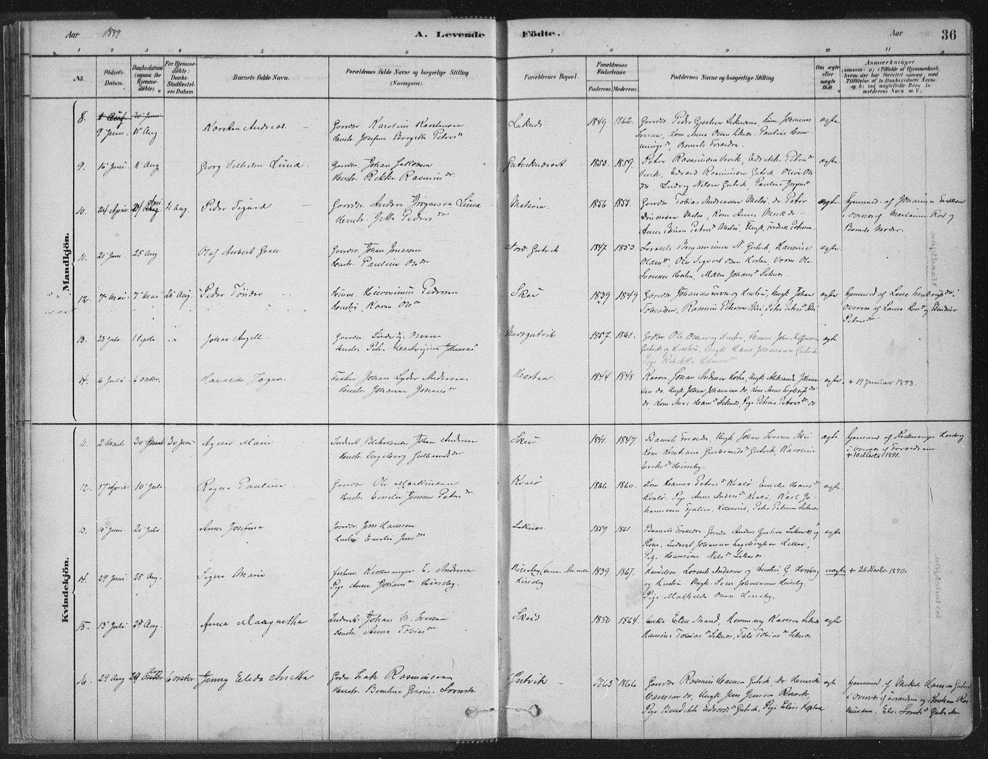 Ministerialprotokoller, klokkerbøker og fødselsregistre - Nord-Trøndelag, AV/SAT-A-1458/788/L0697: Parish register (official) no. 788A04, 1878-1902, p. 36