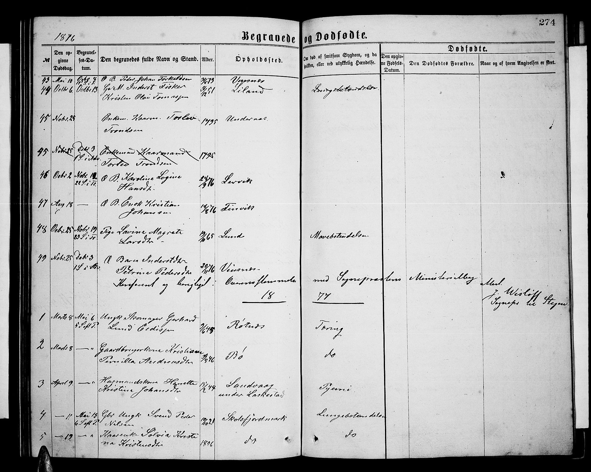 Ministerialprotokoller, klokkerbøker og fødselsregistre - Nordland, AV/SAT-A-1459/855/L0815: Parish register (copy) no. 855C04, 1865-1878, p. 274