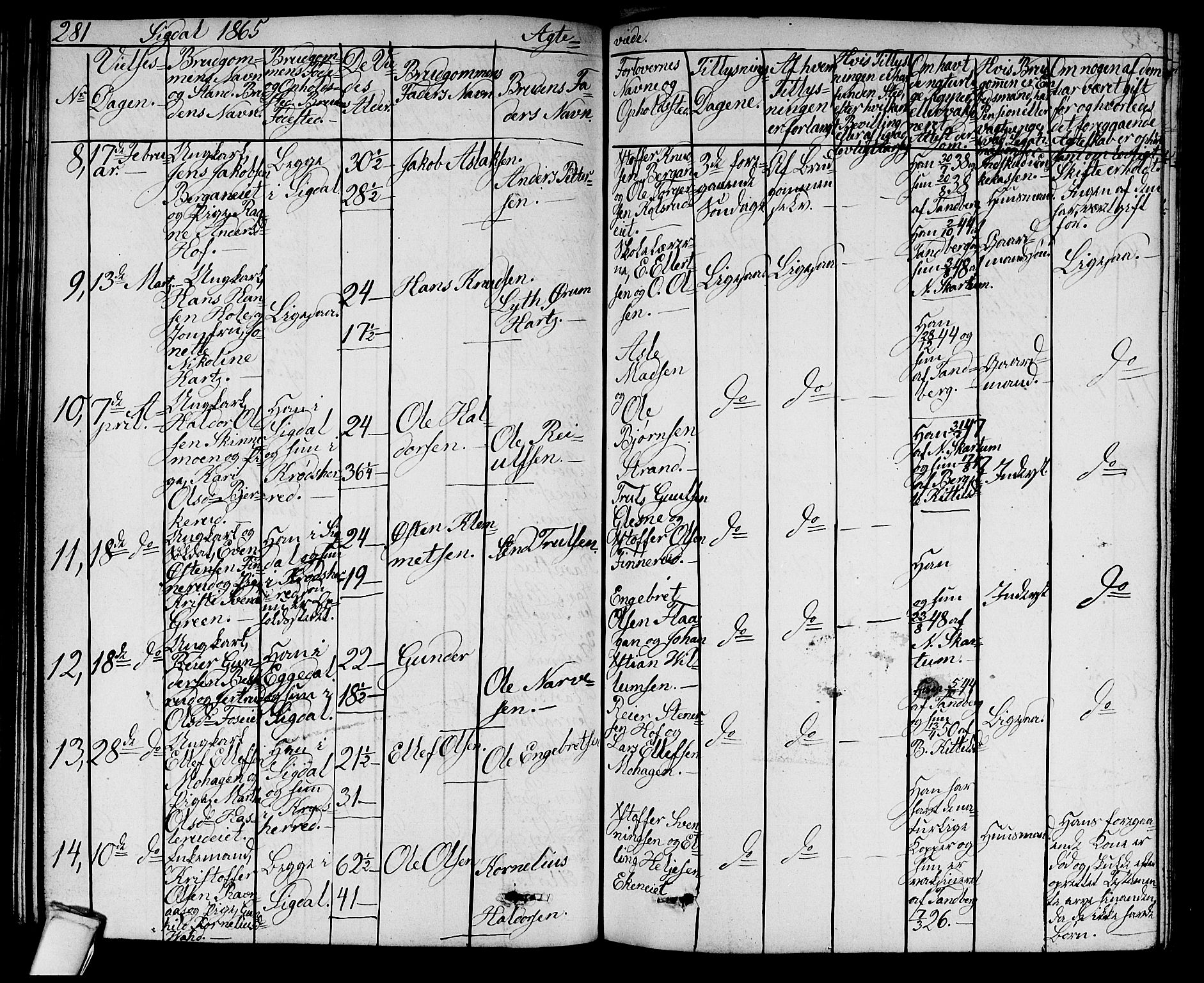 Sigdal kirkebøker, SAKO/A-245/G/Ga/L0003: Parish register (copy) no. I 3, 1857-1878, p. 281