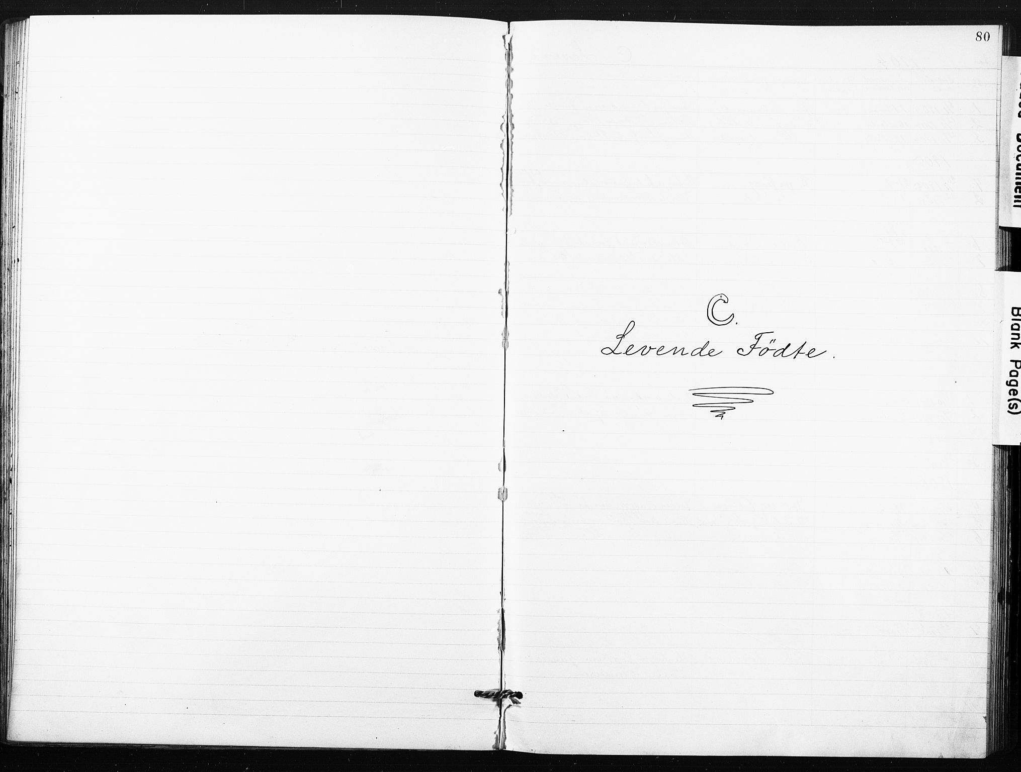 Kristi menighet Fredrikstad , SAO/PAO-0231/A/L0002: Dissenter register no. 2, 1904-1932, p. 80