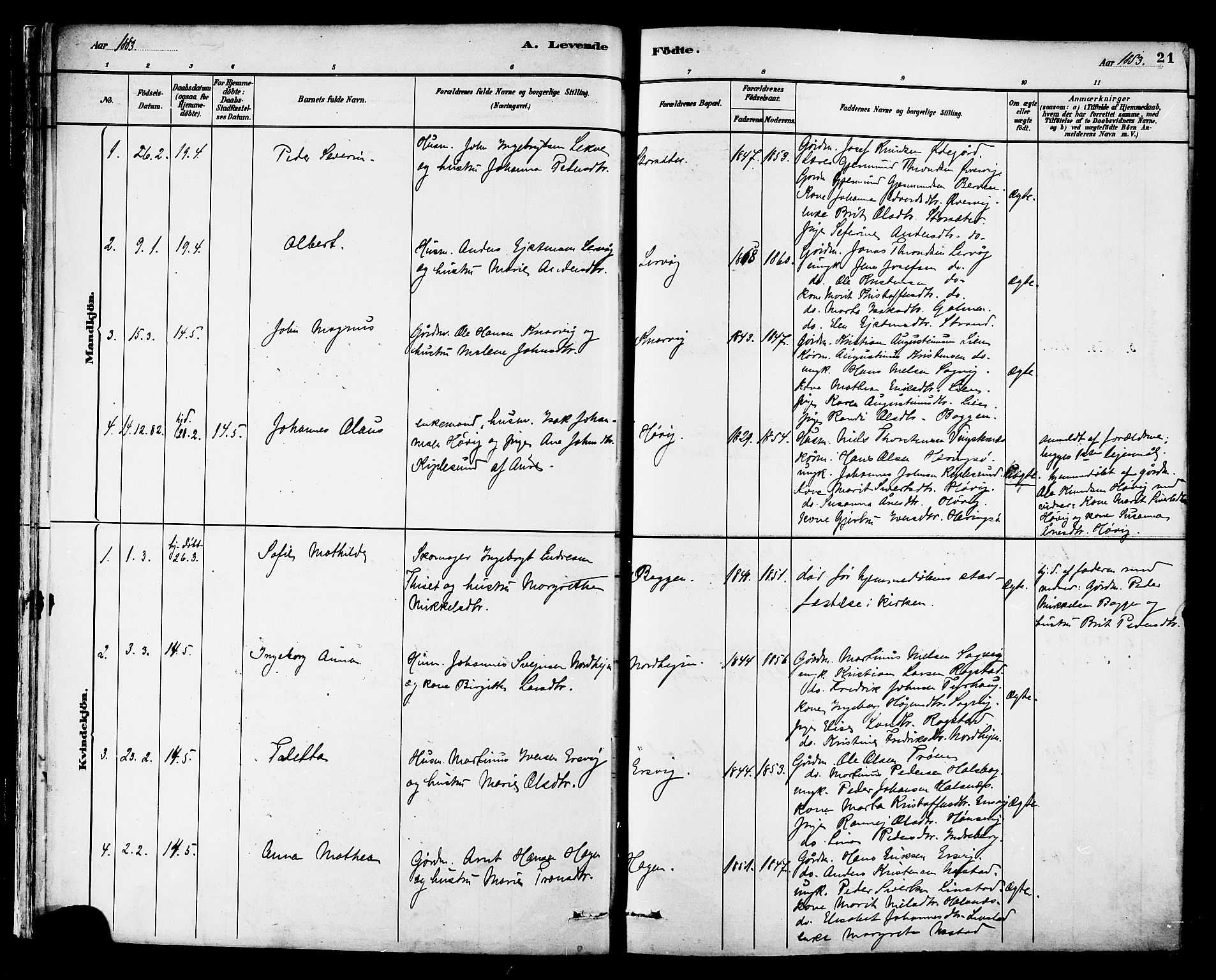 Ministerialprotokoller, klokkerbøker og fødselsregistre - Møre og Romsdal, AV/SAT-A-1454/577/L0896: Parish register (official) no. 577A03, 1880-1898, p. 21