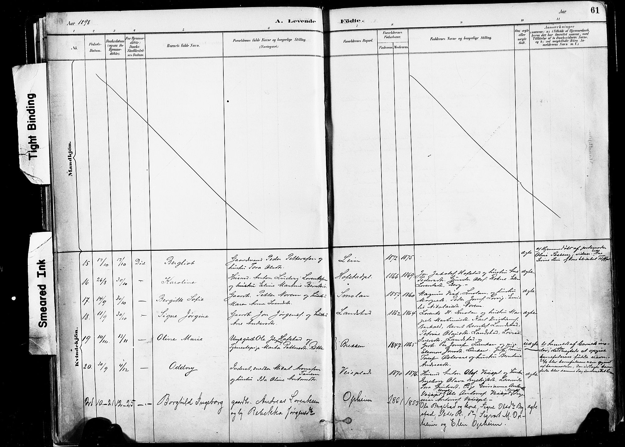 Ministerialprotokoller, klokkerbøker og fødselsregistre - Nord-Trøndelag, SAT/A-1458/735/L0351: Parish register (official) no. 735A10, 1884-1908, p. 61