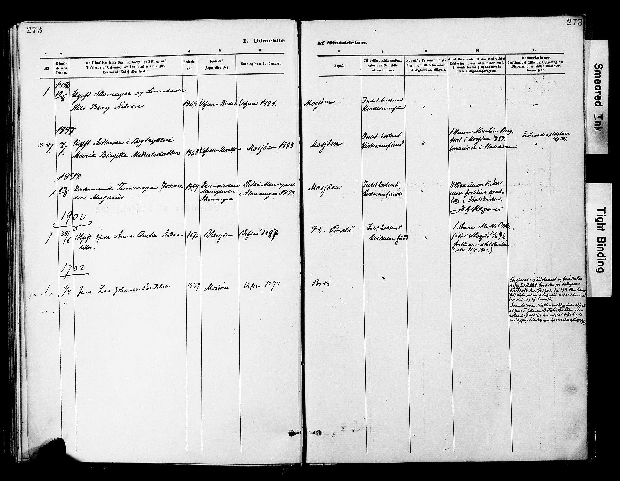 Ministerialprotokoller, klokkerbøker og fødselsregistre - Nordland, SAT/A-1459/820/L0296: Parish register (official) no. 820A17, 1880-1903, p. 273