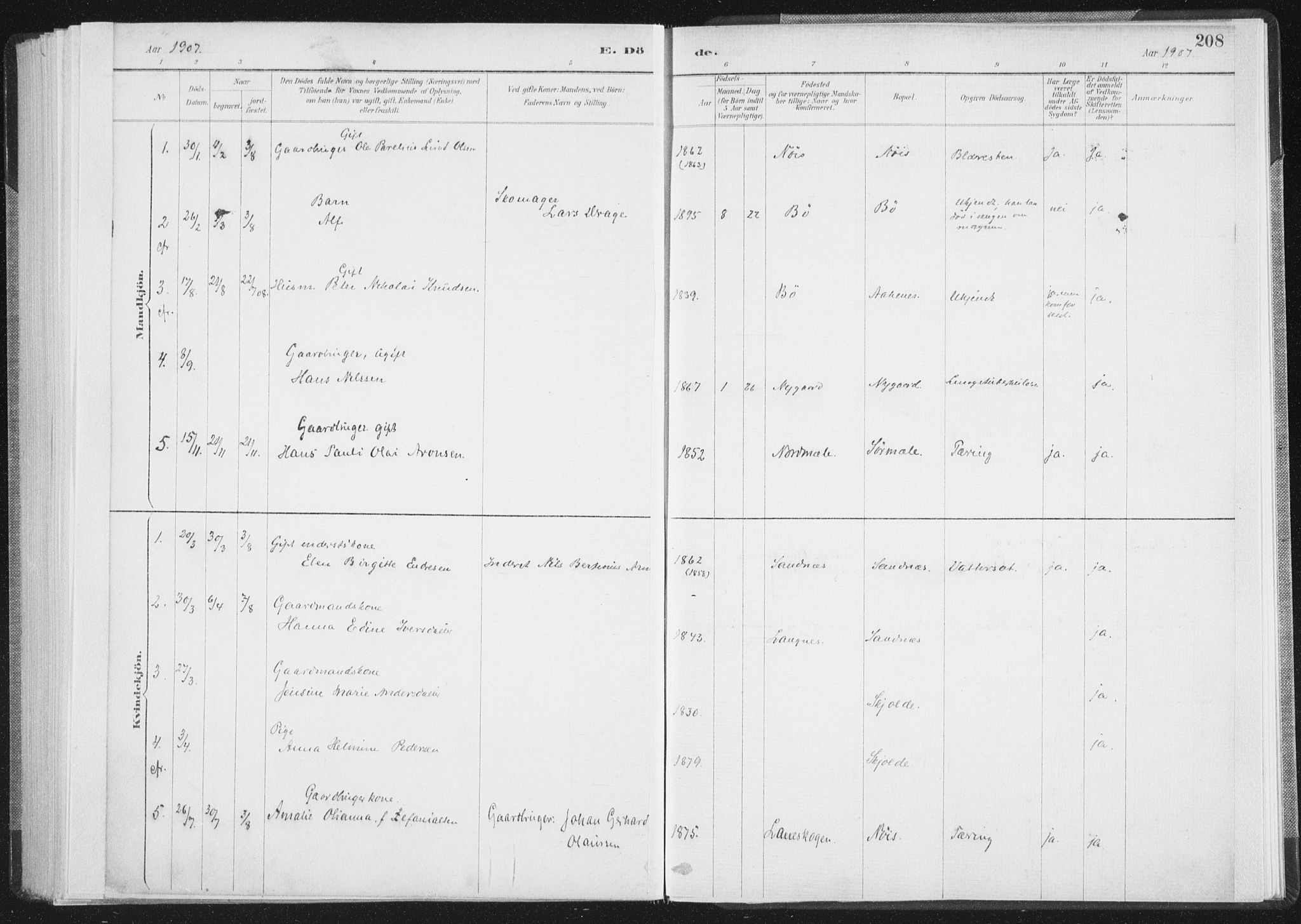 Ministerialprotokoller, klokkerbøker og fødselsregistre - Nordland, SAT/A-1459/898/L1422: Parish register (official) no. 898A02, 1887-1908, p. 208