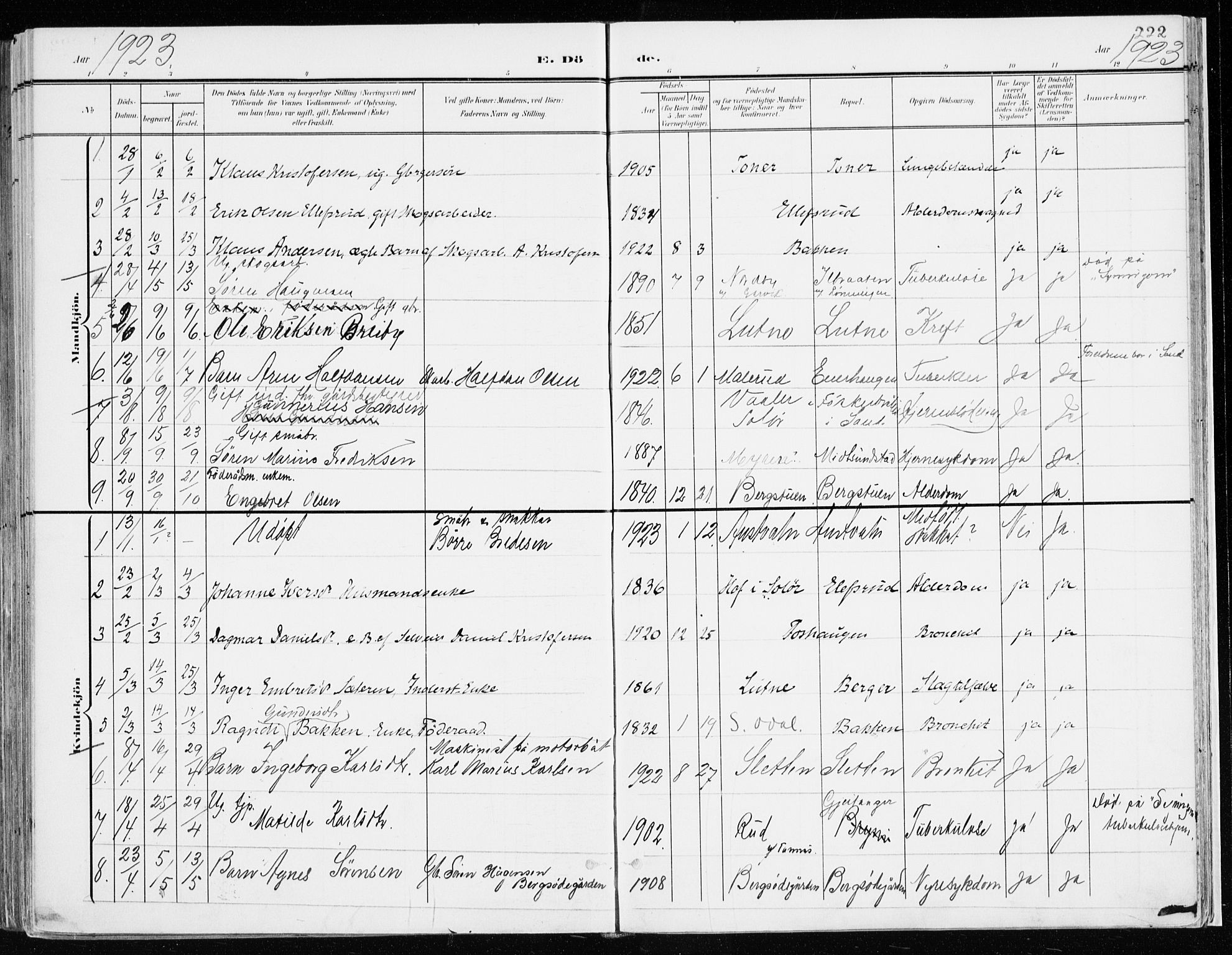 Nord-Odal prestekontor, SAH/PREST-032/H/Ha/Haa/L0009: Parish register (official) no. 9, 1902-1926, p. 222