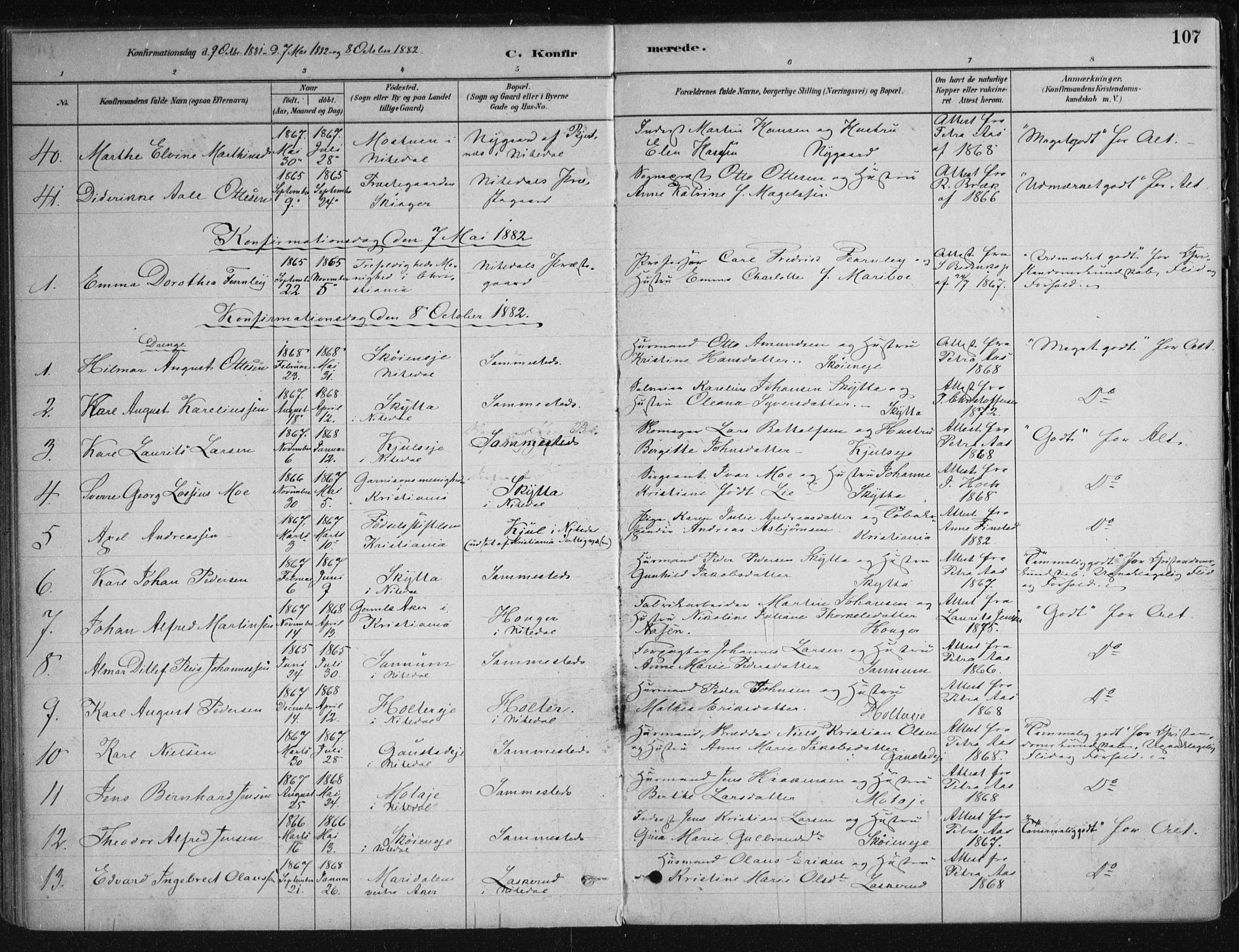 Nittedal prestekontor Kirkebøker, SAO/A-10365a/F/Fa/L0007: Parish register (official) no. I 7, 1879-1901, p. 107