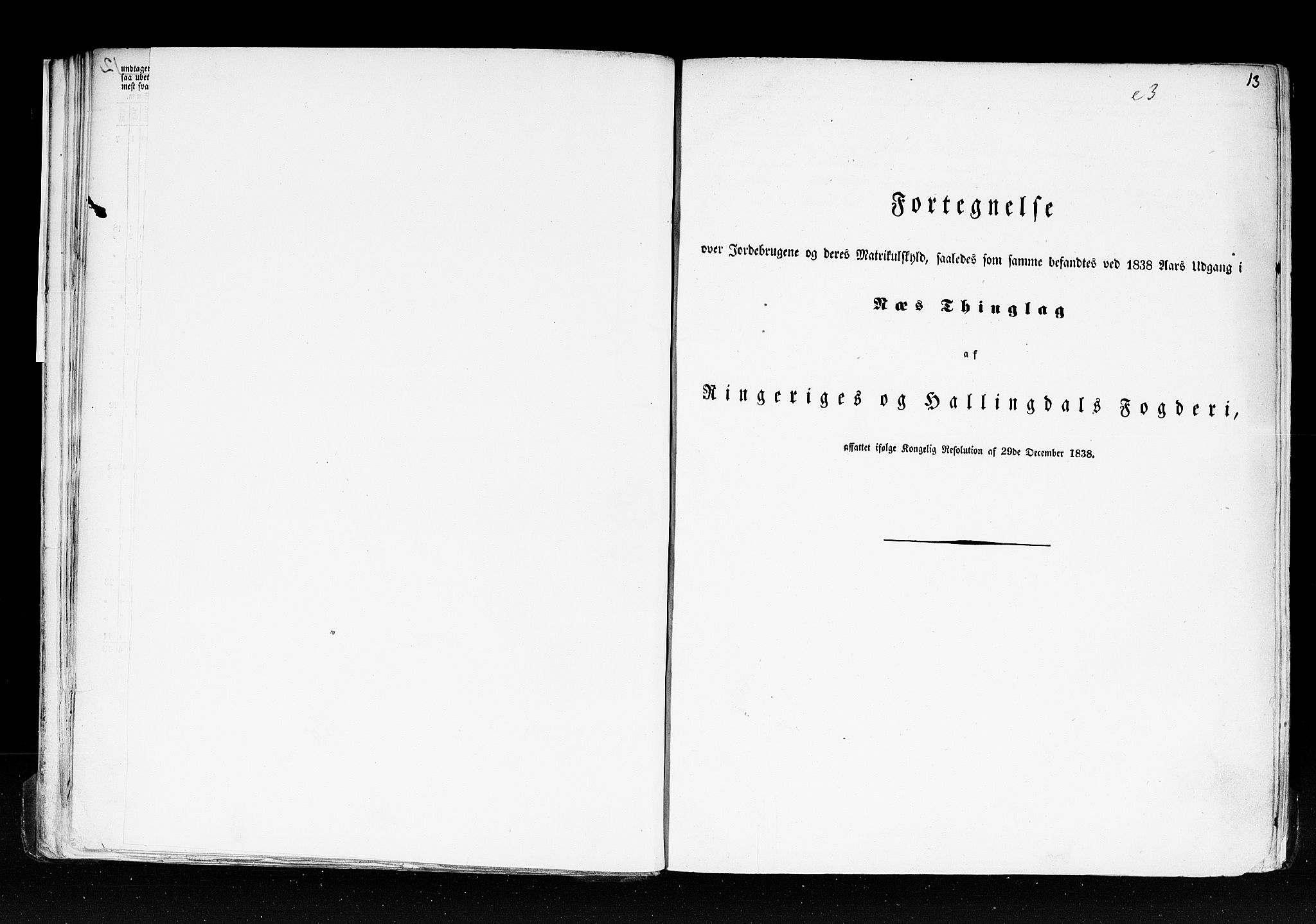 Rygh, AV/RA-PA-0034/F/Fb/L0005: Matrikkelen for 1838 - Buskerud amt (Buskerud fylke), 1838, p. 13a