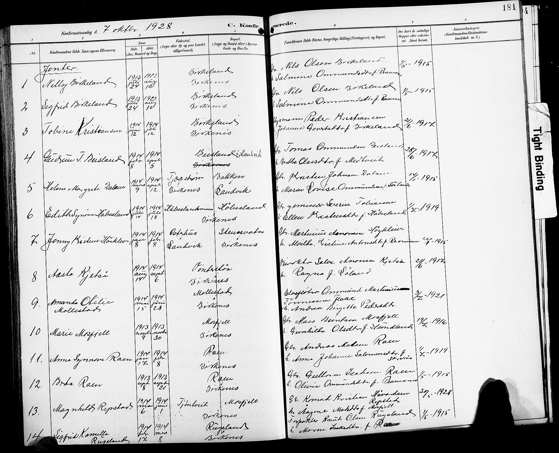 Birkenes sokneprestkontor, SAK/1111-0004/F/Fb/L0004: Parish register (copy) no. B 4, 1893-1930, p. 181