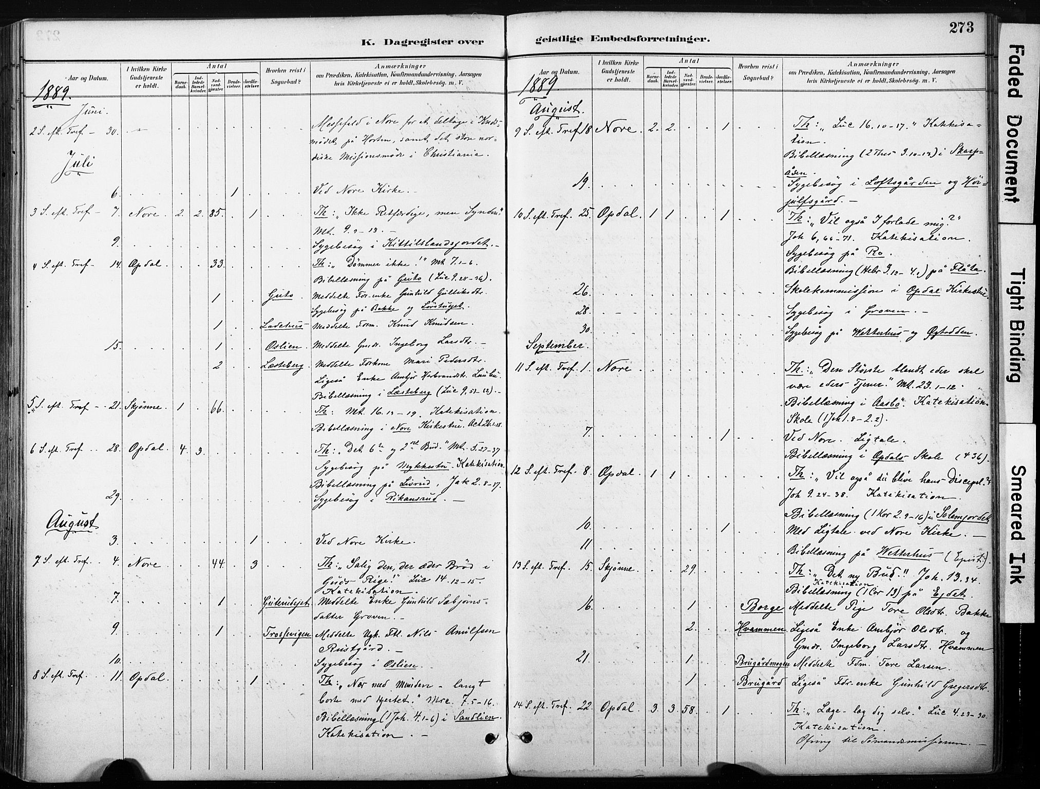 Nore kirkebøker, AV/SAKO-A-238/F/Fb/L0002: Parish register (official) no. II 2, 1886-1906, p. 273
