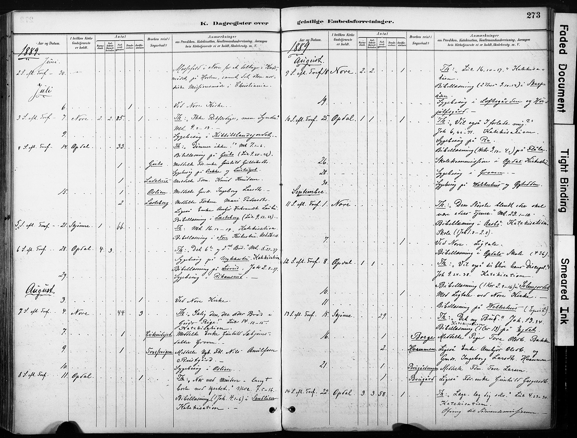 Nore kirkebøker, AV/SAKO-A-238/F/Fb/L0002: Parish register (official) no. II 2, 1886-1906, p. 273