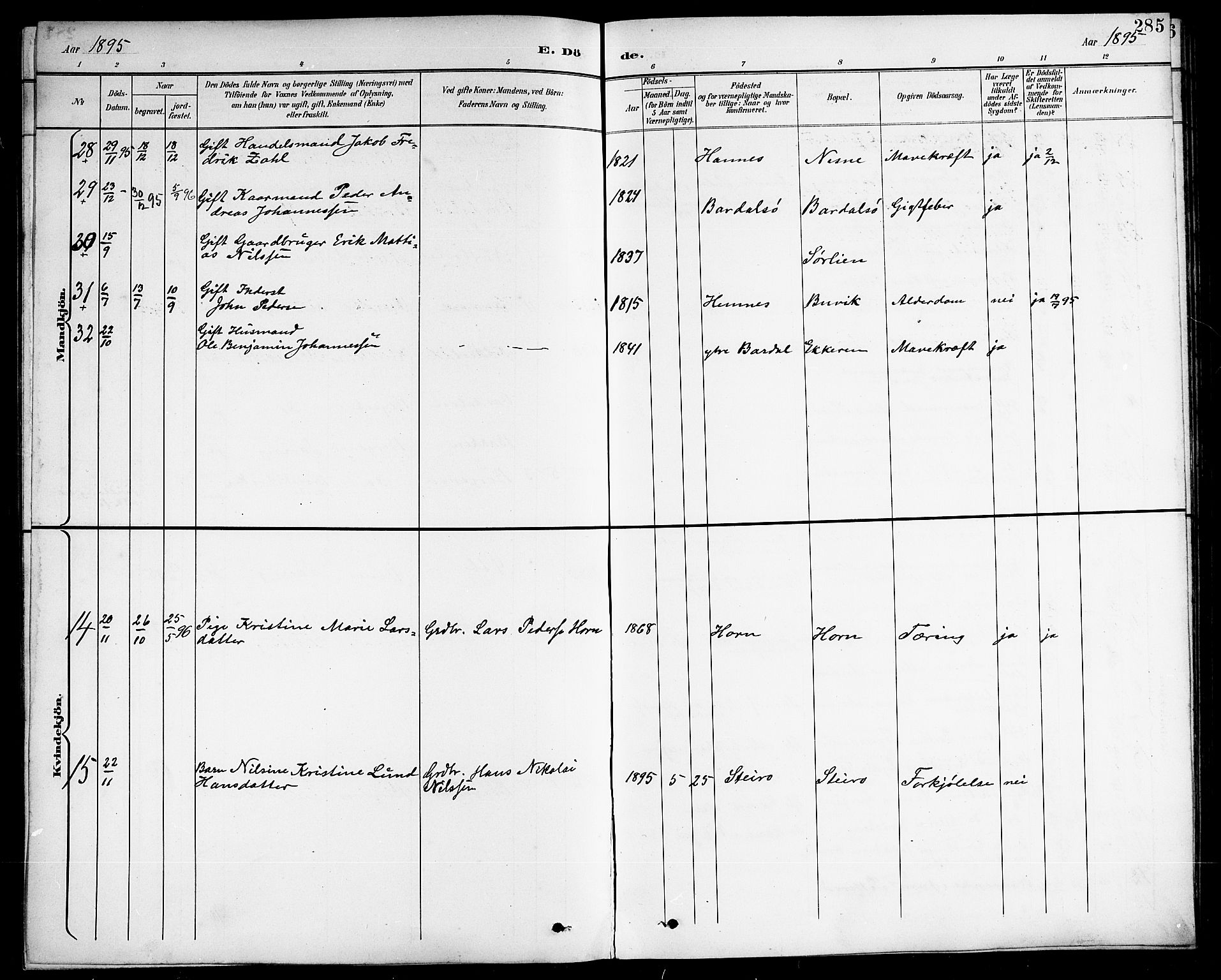 Ministerialprotokoller, klokkerbøker og fødselsregistre - Nordland, AV/SAT-A-1459/838/L0559: Parish register (copy) no. 838C06, 1893-1910, p. 285