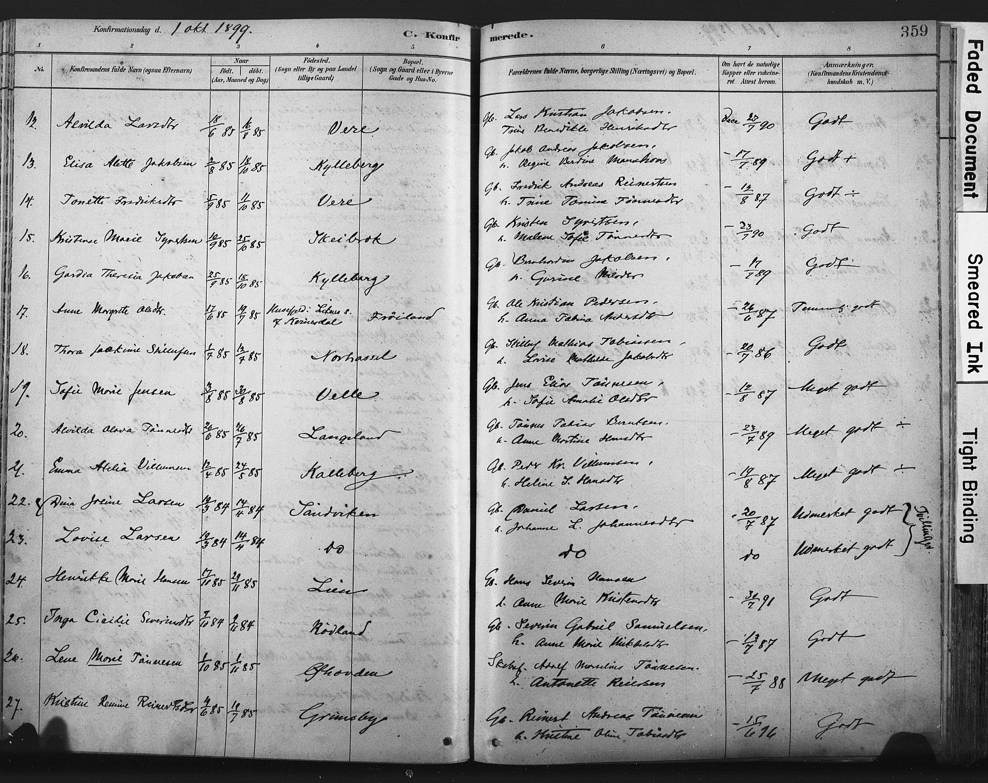 Lista sokneprestkontor, AV/SAK-1111-0027/F/Fa/L0012: Parish register (official) no. A 12, 1879-1903, p. 359