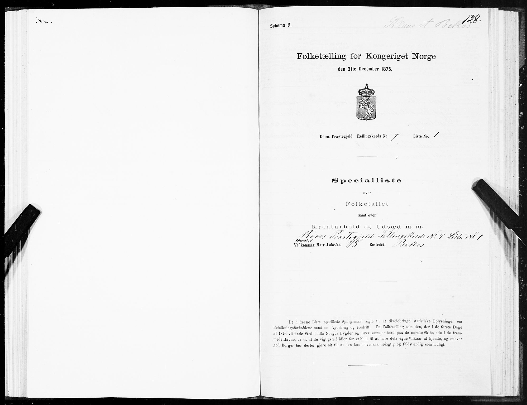 SAT, 1875 census for 1640P Røros, 1875, p. 4128