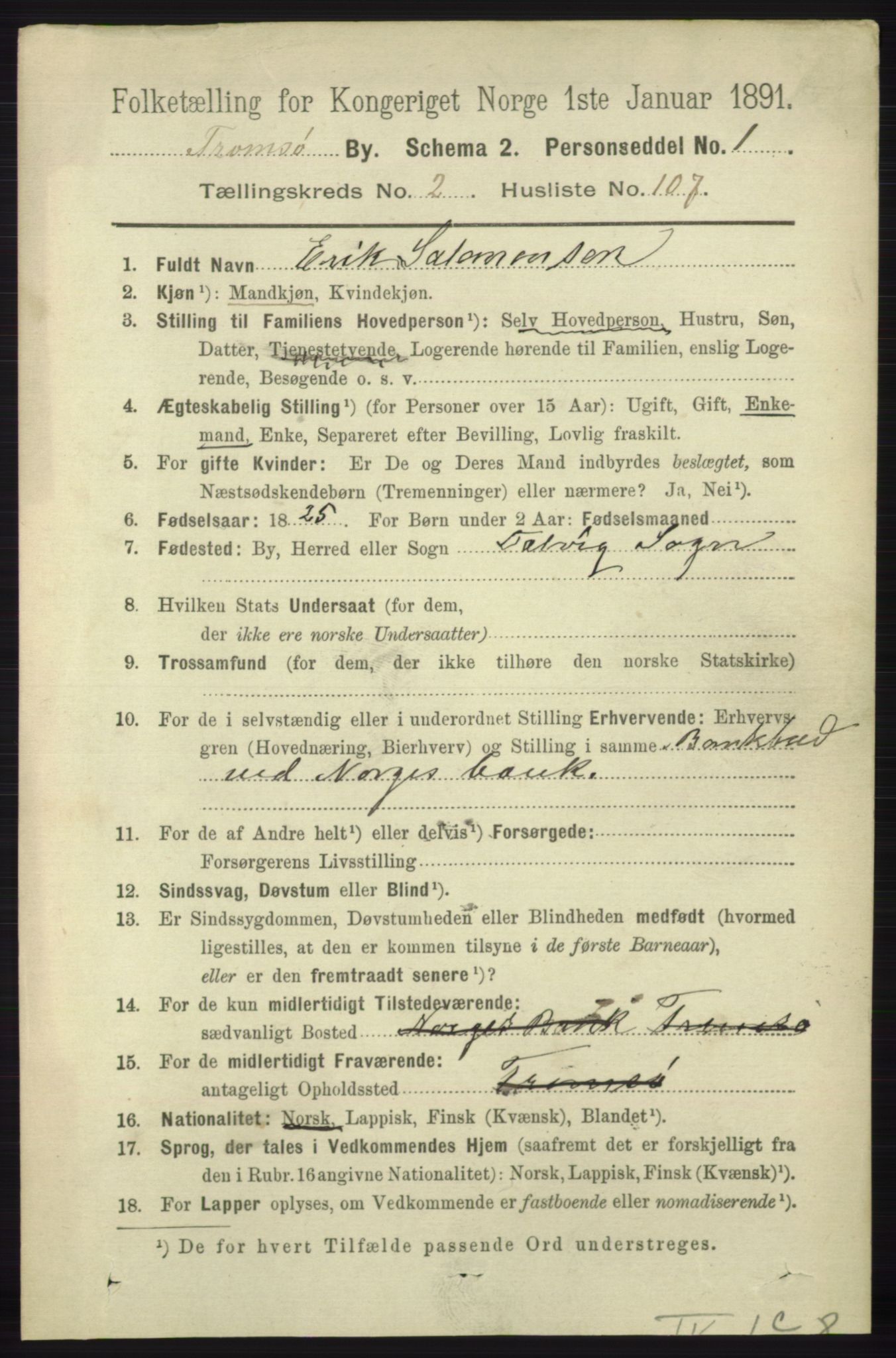 RA, 1891 census for 1902 Tromsø, 1891, p. 2990