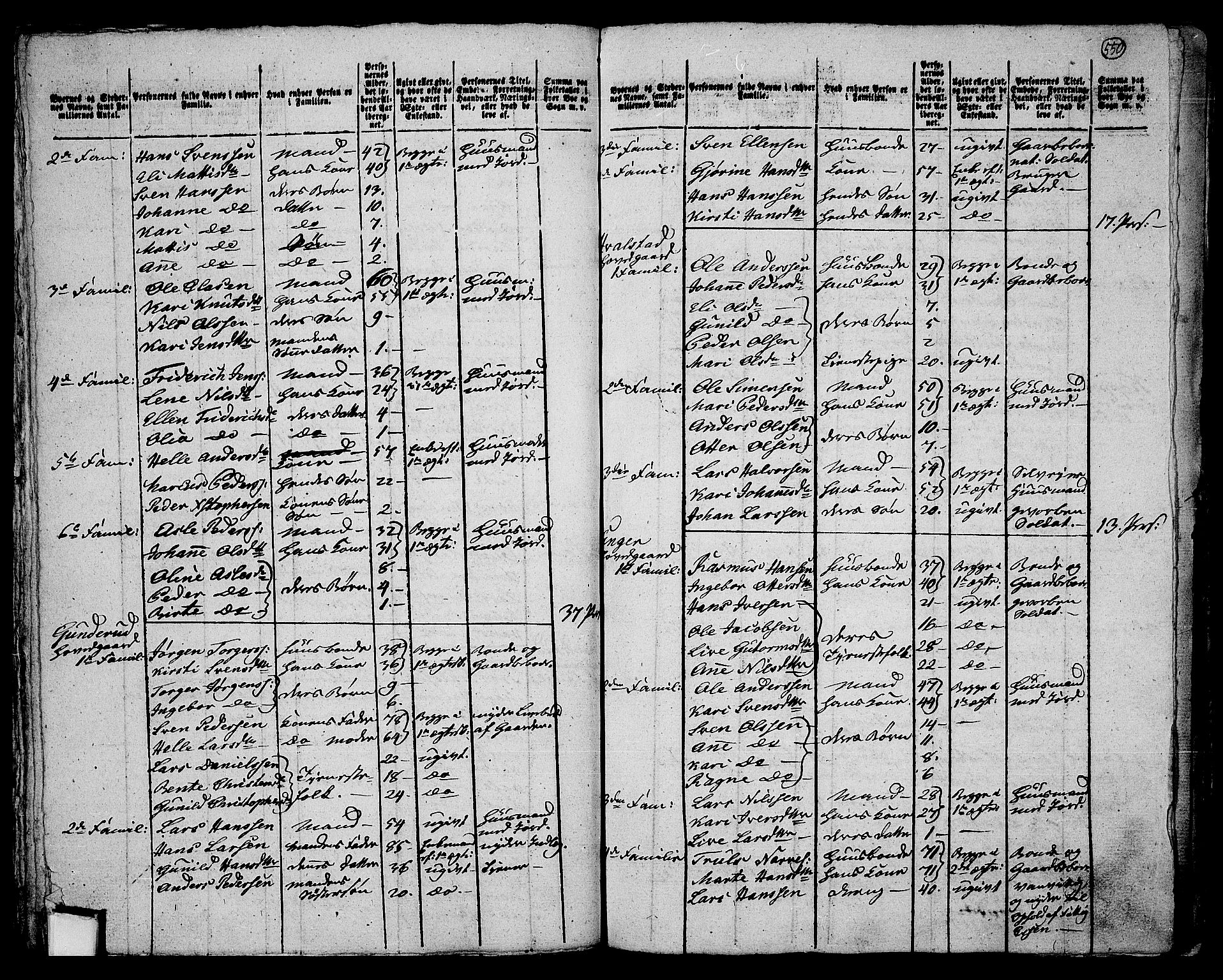 RA, 1801 census for 0626P Lier, 1801, p. 549b-550a