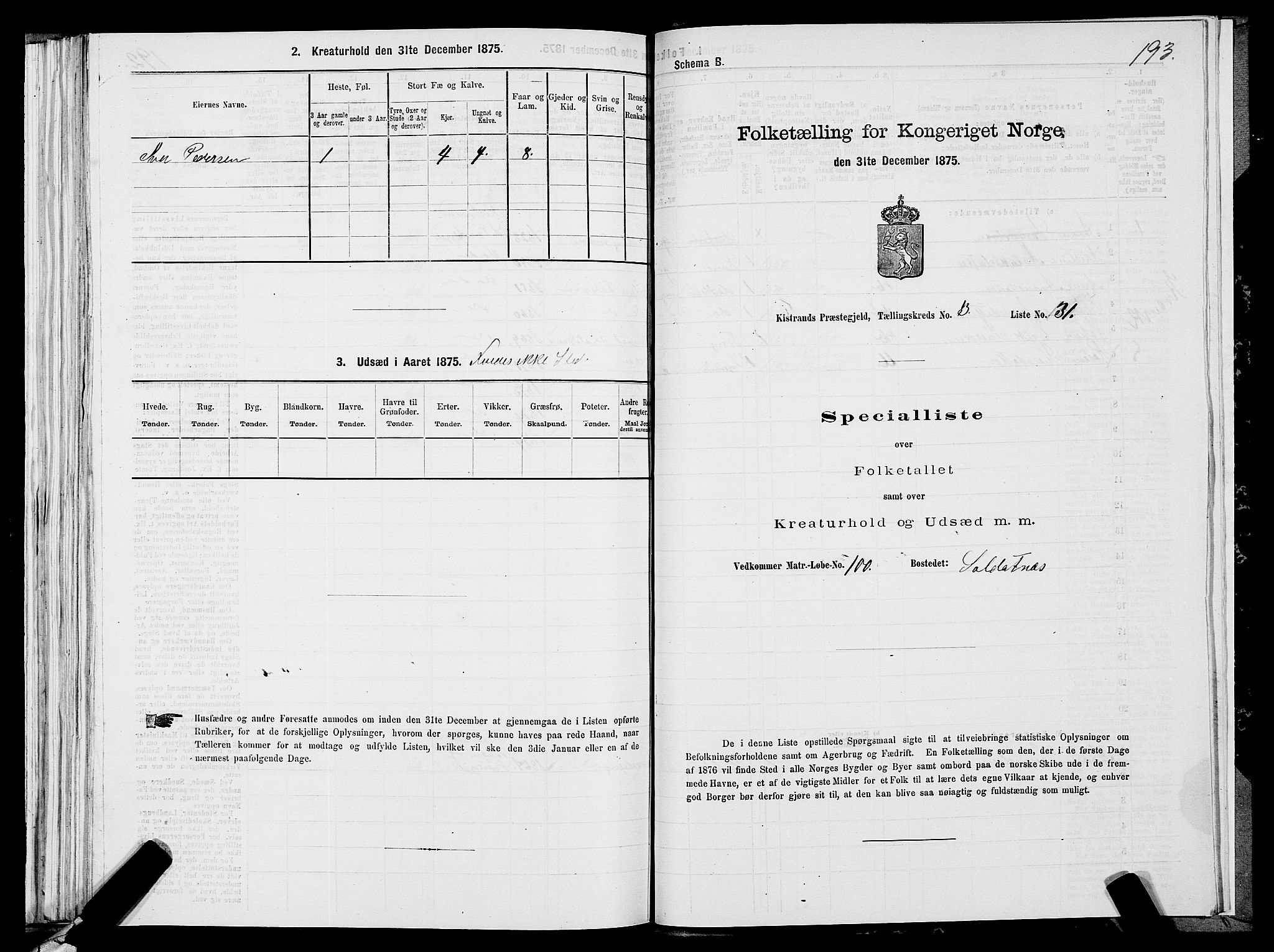 SATØ, 1875 census for 2020P Kistrand, 1875, p. 1193