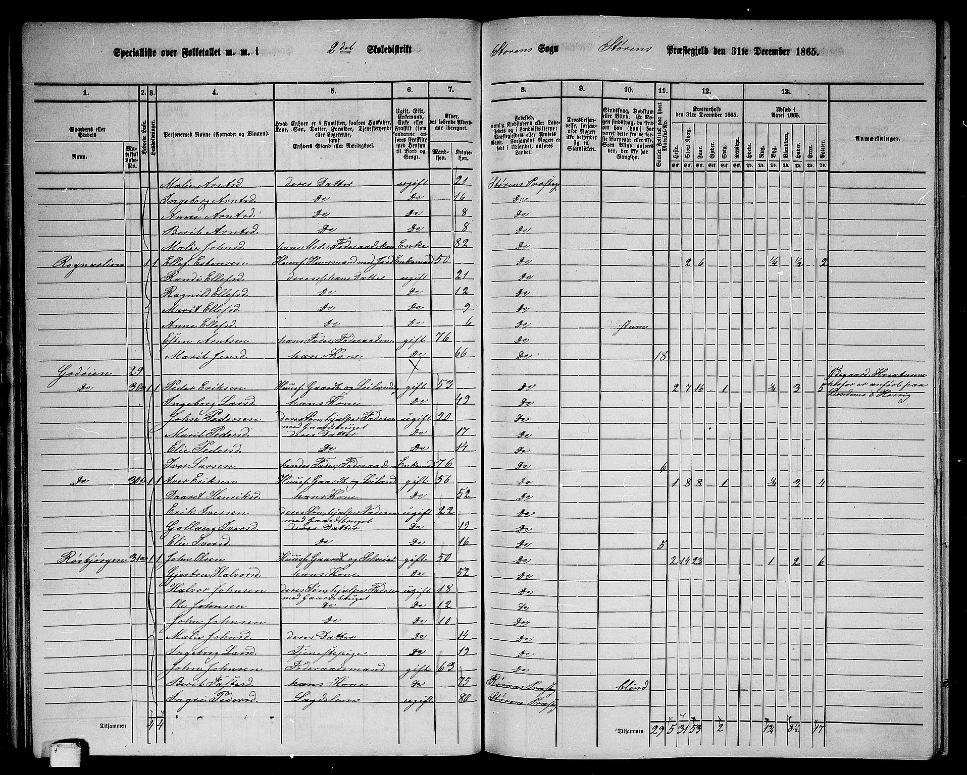 RA, 1865 census for Støren, 1865, p. 47