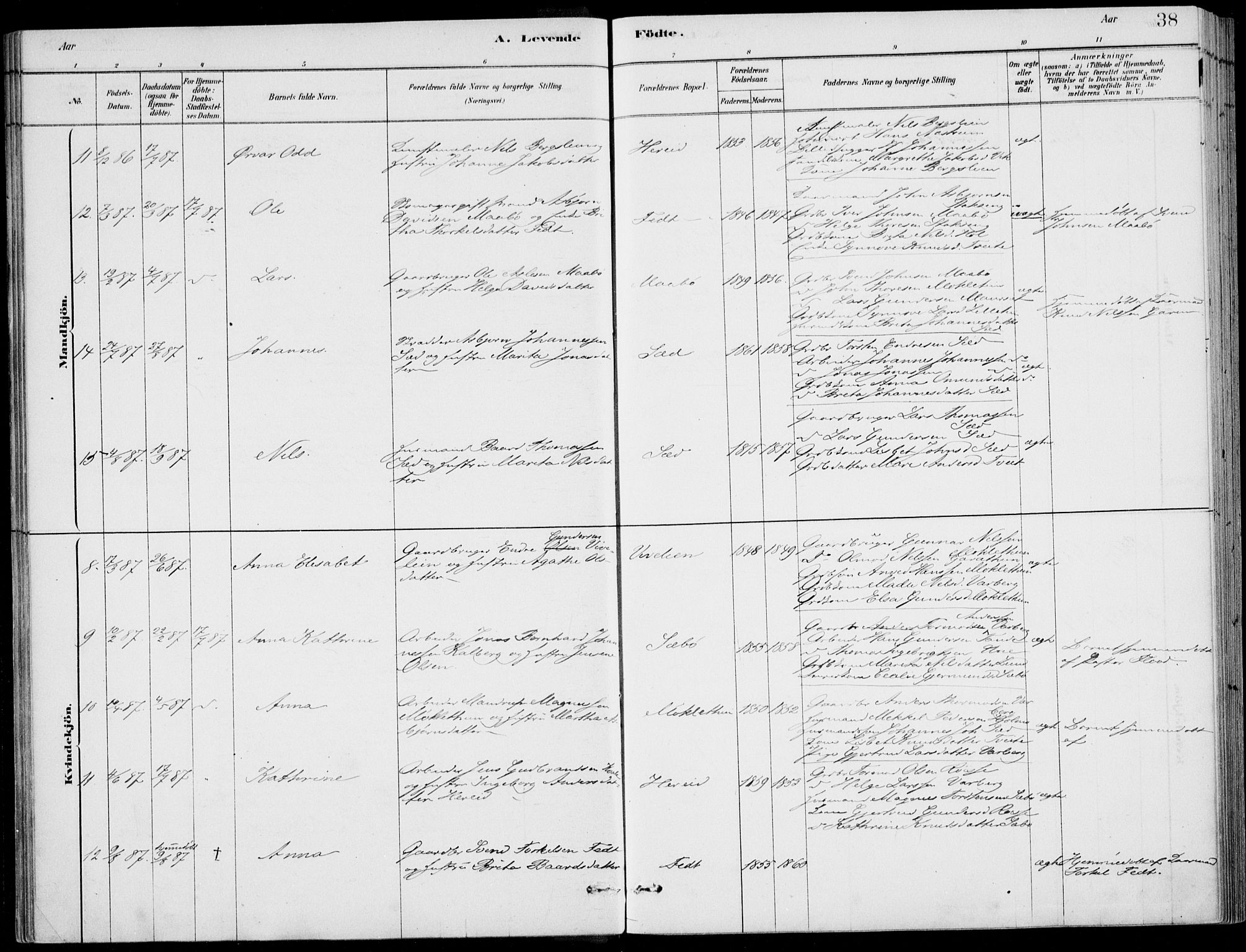 Ulvik sokneprestembete, AV/SAB-A-78801/H/Haa: Parish register (official) no. D  1, 1878-1903, p. 38