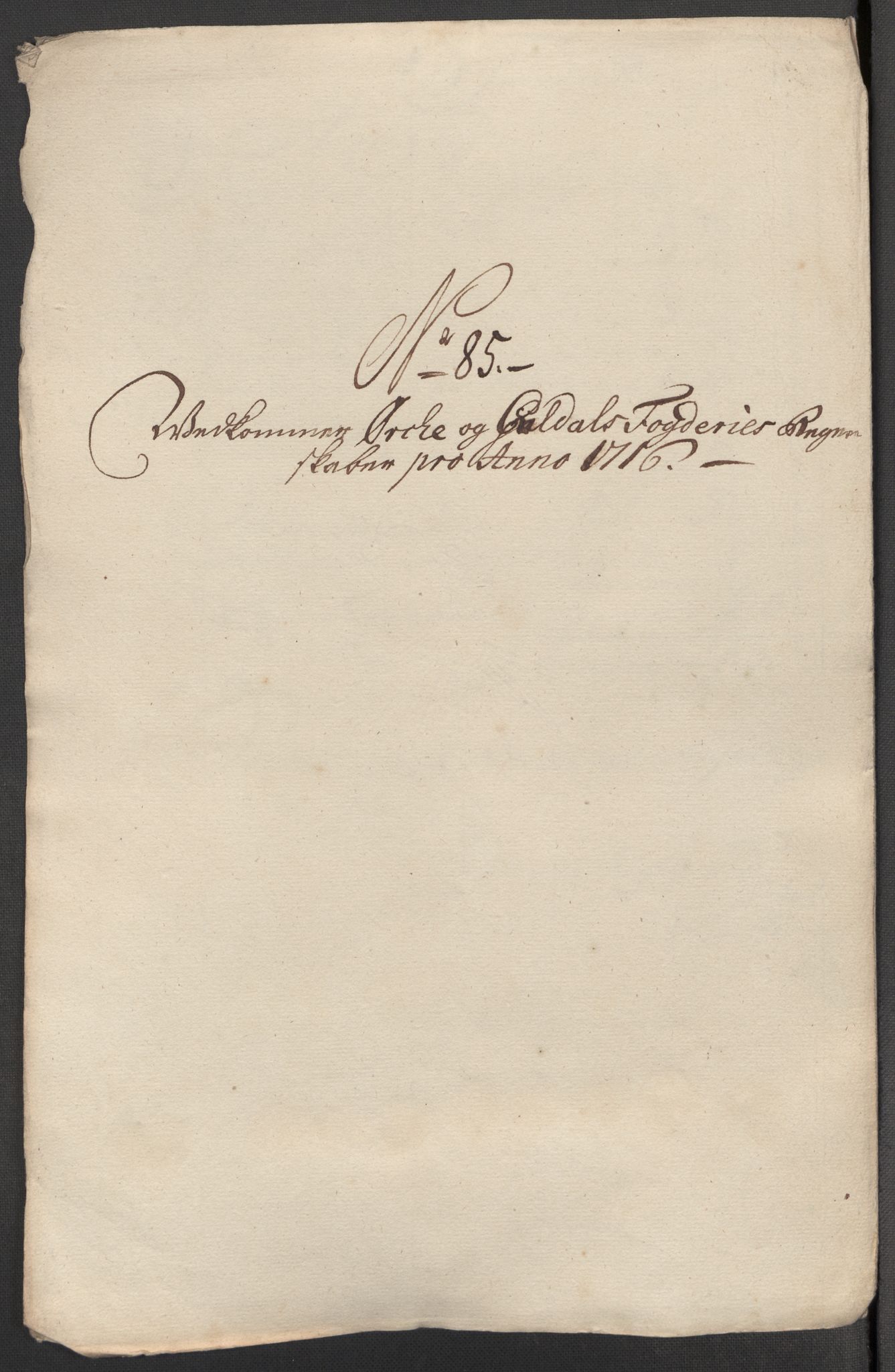 Rentekammeret inntil 1814, Reviderte regnskaper, Fogderegnskap, AV/RA-EA-4092/R60/L3968: Fogderegnskap Orkdal og Gauldal, 1716, p. 224