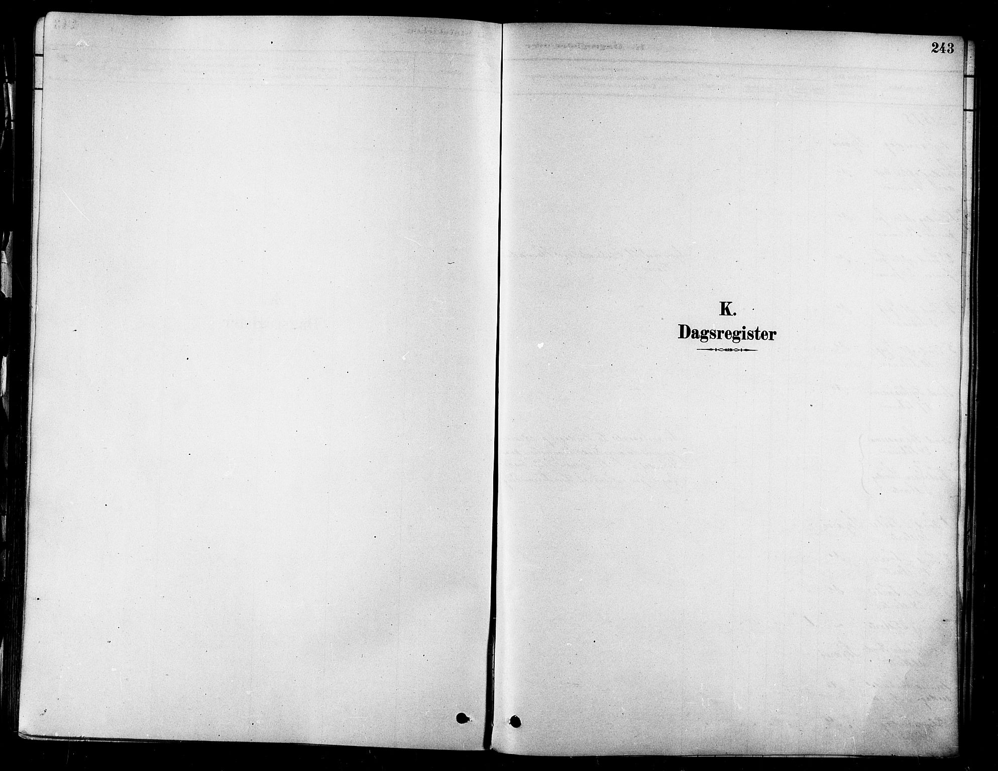 Skjervøy sokneprestkontor, AV/SATØ-S-1300/H/Ha/Haa/L0009kirke: Parish register (official) no. 9, 1878-1887, p. 243