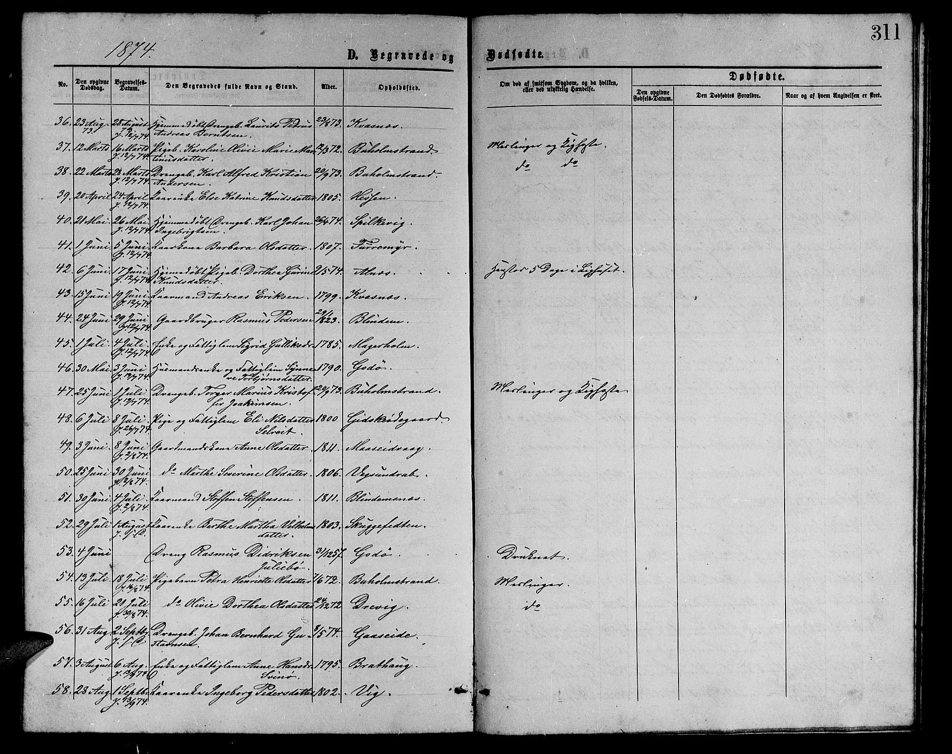 Ministerialprotokoller, klokkerbøker og fødselsregistre - Møre og Romsdal, AV/SAT-A-1454/528/L0428: Parish register (copy) no. 528C09, 1864-1880, p. 311