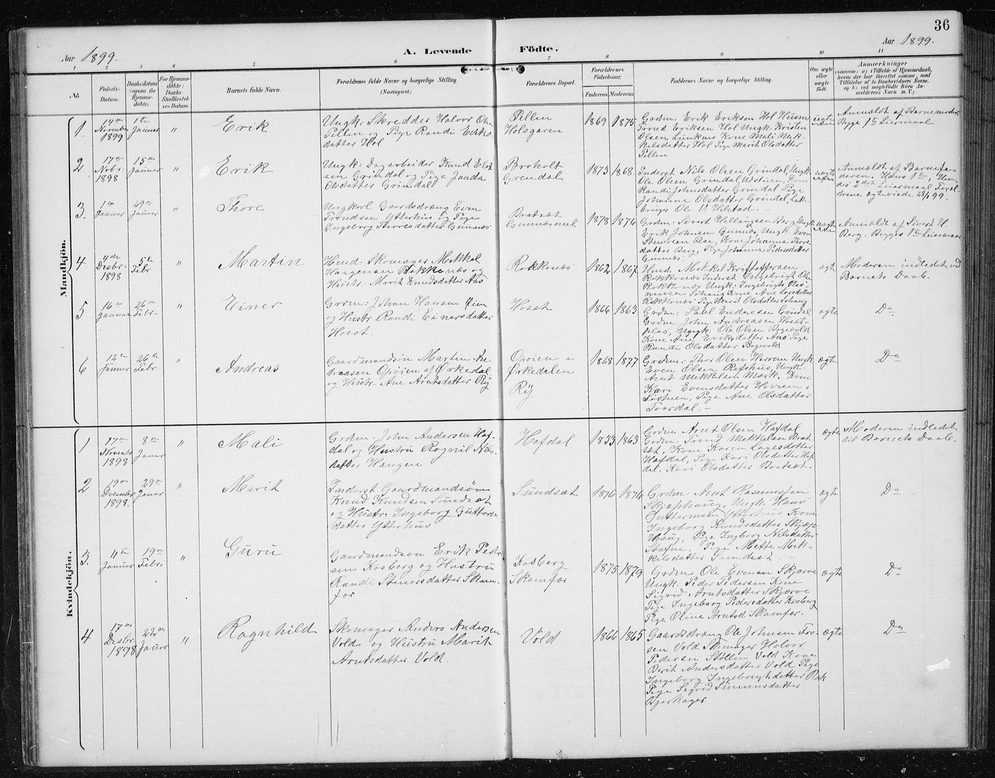 Ministerialprotokoller, klokkerbøker og fødselsregistre - Sør-Trøndelag, SAT/A-1456/674/L0876: Parish register (copy) no. 674C03, 1892-1912, p. 36