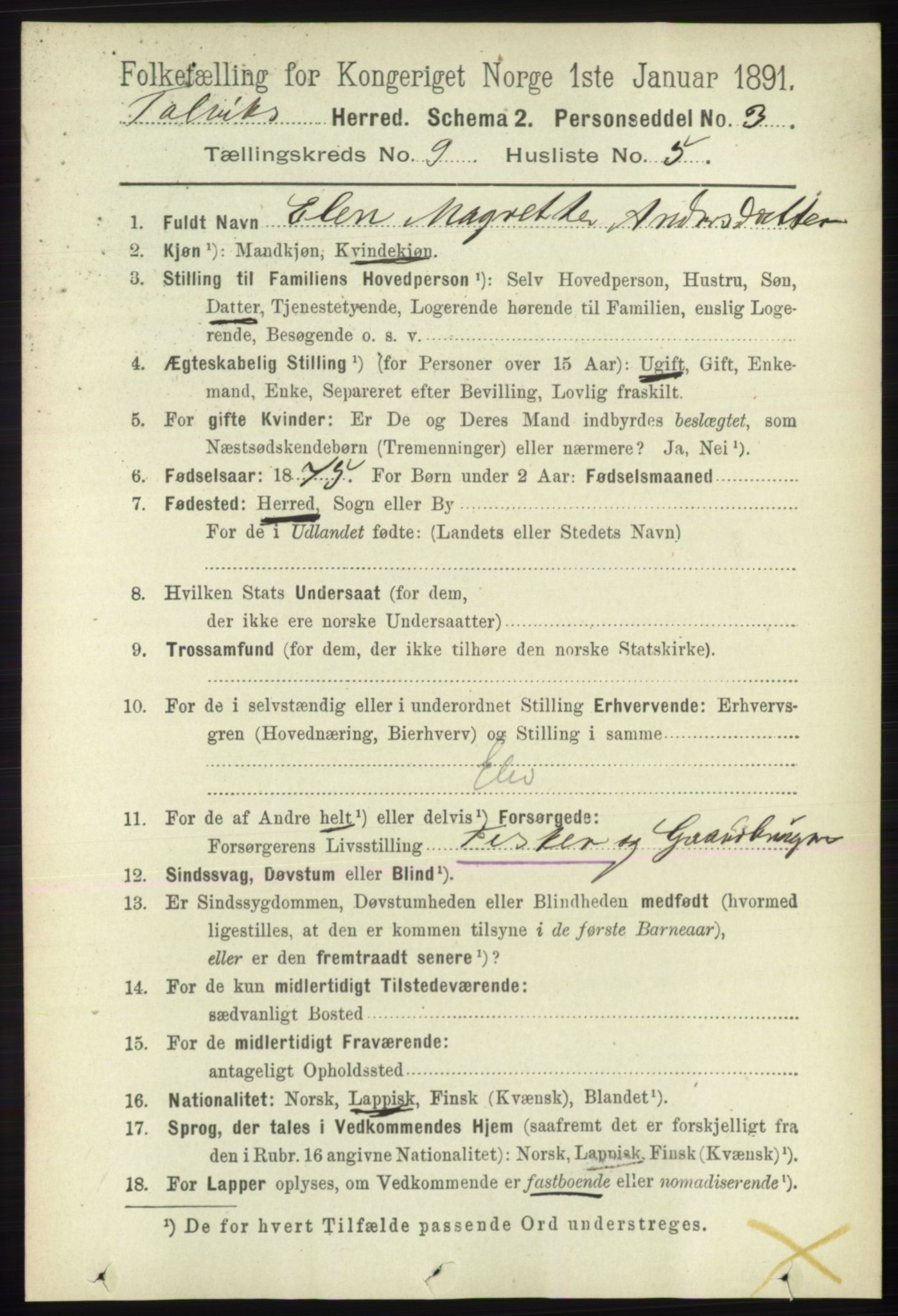 RA, 1891 census for 2013 Talvik, 1891, p. 2196