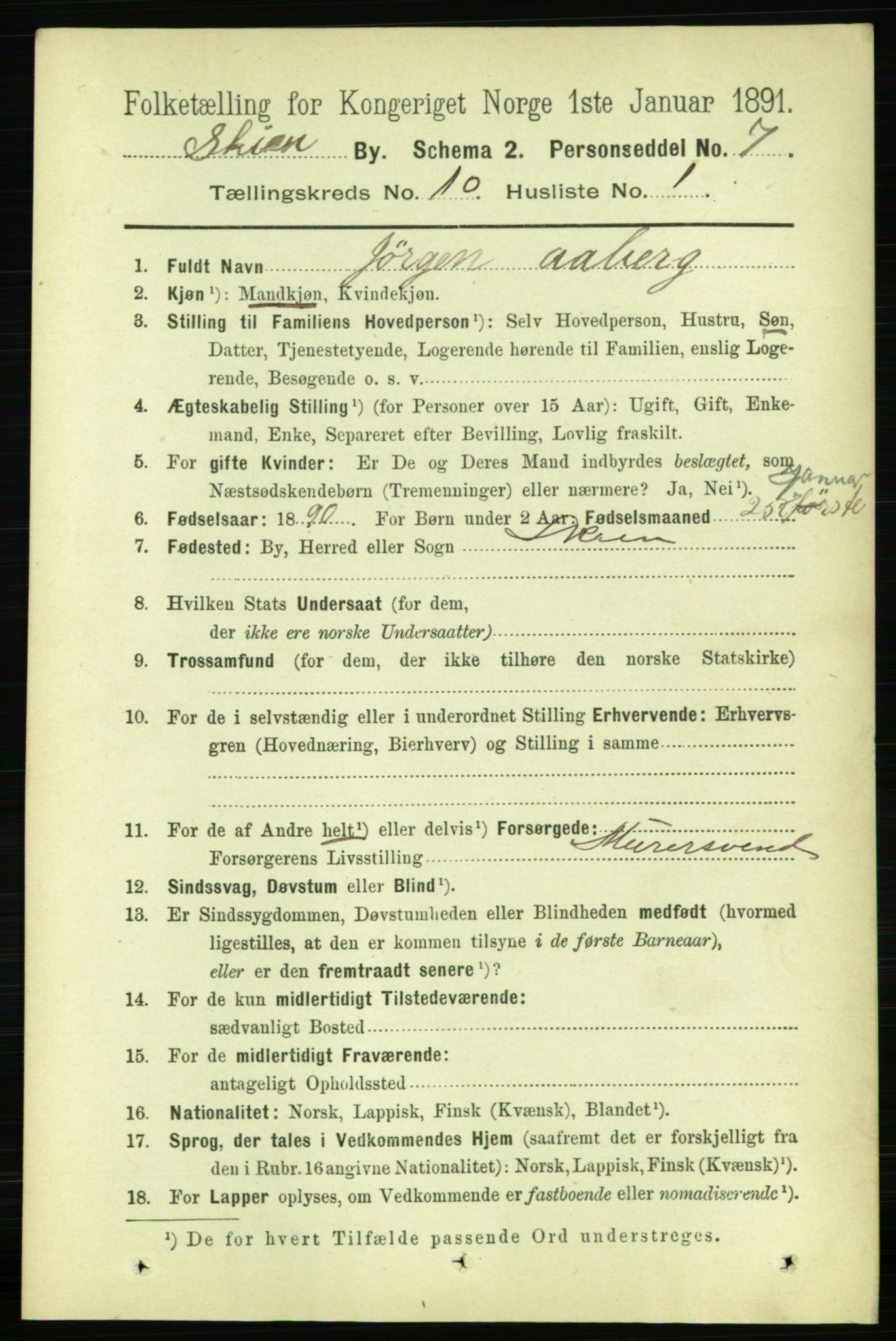 RA, 1891 census for 0806 Skien, 1891, p. 3586