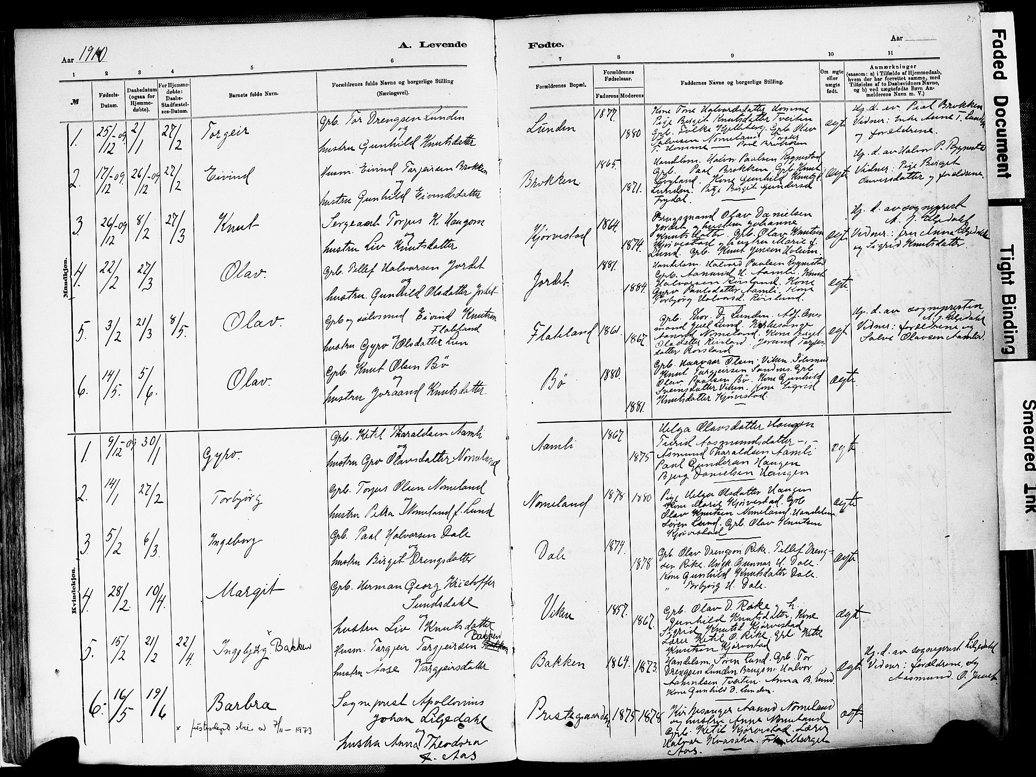 Valle sokneprestkontor, AV/SAK-1111-0044/F/Fa/Fac/L0009: Parish register (official) no. A 9, 1882-1913, p. 84