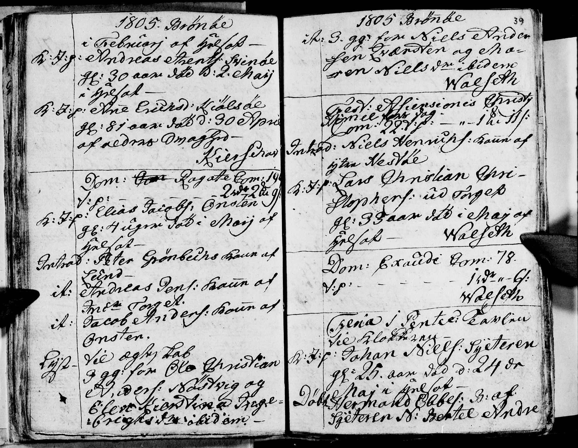 Ministerialprotokoller, klokkerbøker og fødselsregistre - Nordland, AV/SAT-A-1459/813/L0209: Parish register (copy) no. 813C01, 1803-1821, p. 39