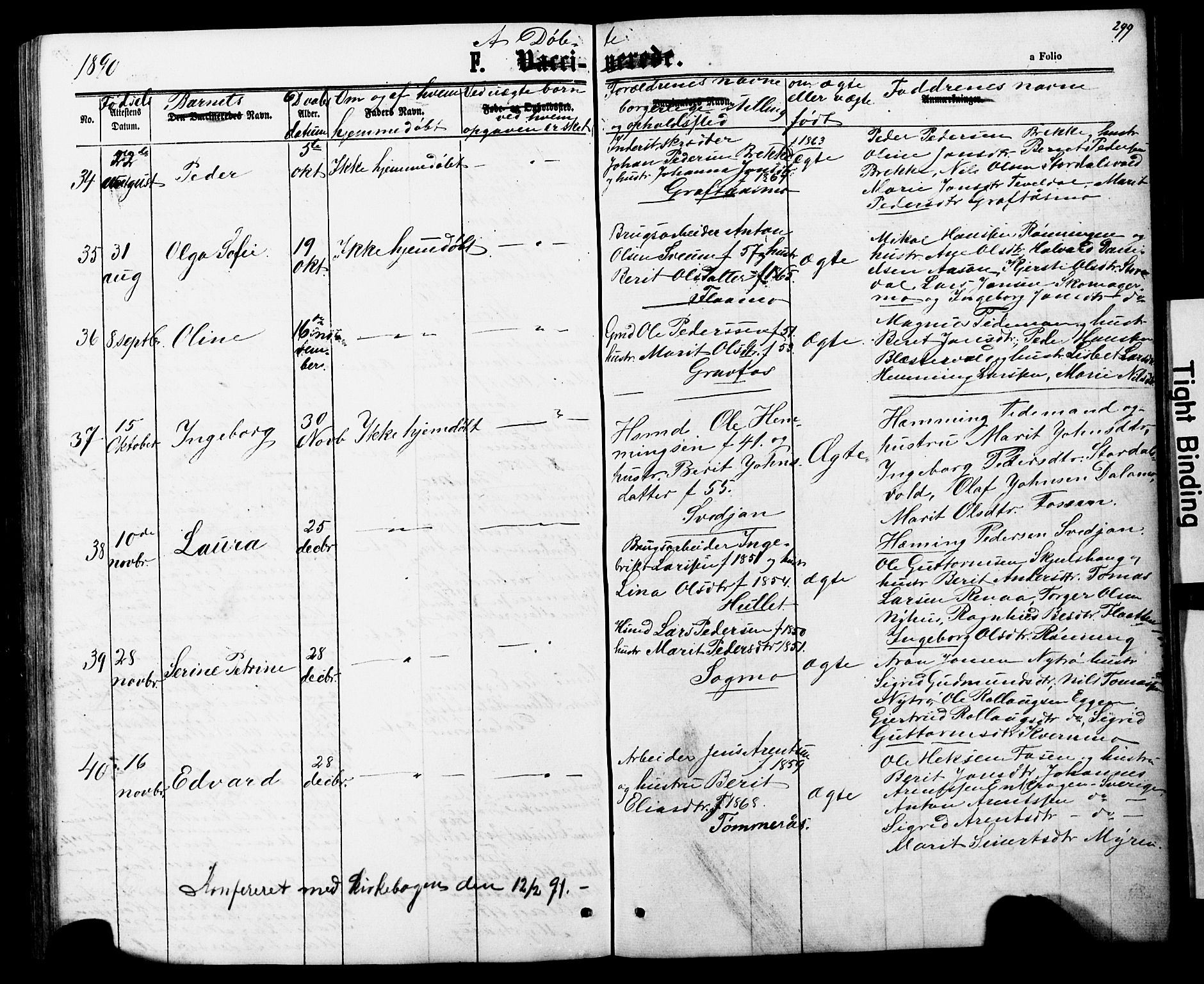 Ministerialprotokoller, klokkerbøker og fødselsregistre - Nord-Trøndelag, AV/SAT-A-1458/706/L0049: Parish register (copy) no. 706C01, 1864-1895, p. 299