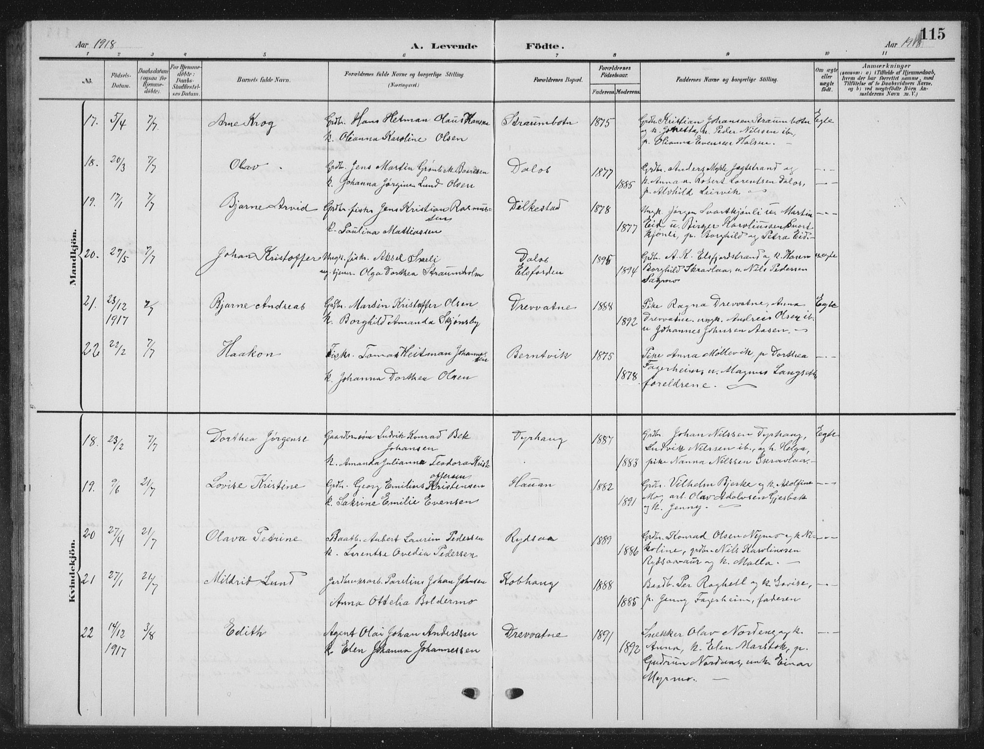 Ministerialprotokoller, klokkerbøker og fødselsregistre - Nordland, SAT/A-1459/825/L0370: Parish register (copy) no. 825C07, 1903-1923, p. 115