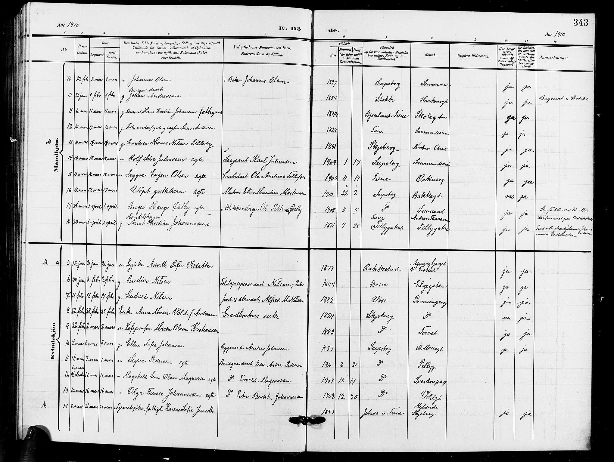 Sarpsborg prestekontor Kirkebøker, AV/SAO-A-2006/G/Ga/L0001: Parish register (copy) no. 1, 1902-1911, p. 343