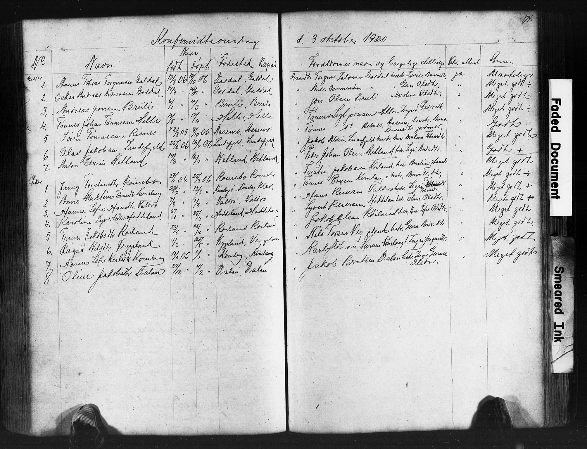Fjotland sokneprestkontor, SAK/1111-0010/F/Fb/L0003: Parish register (copy) no. B 3, 1872-1924, p. 174