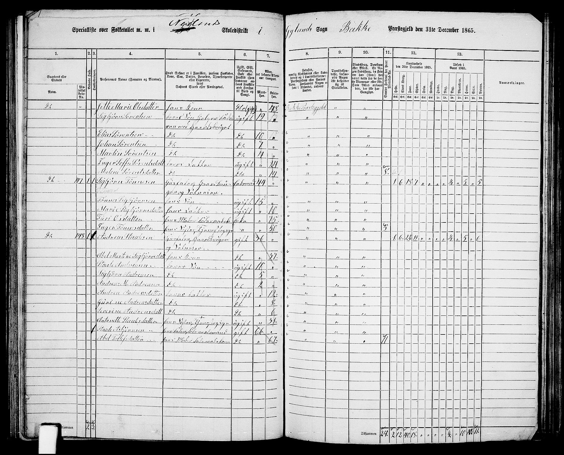 RA, 1865 census for Bakke, 1865, p. 58