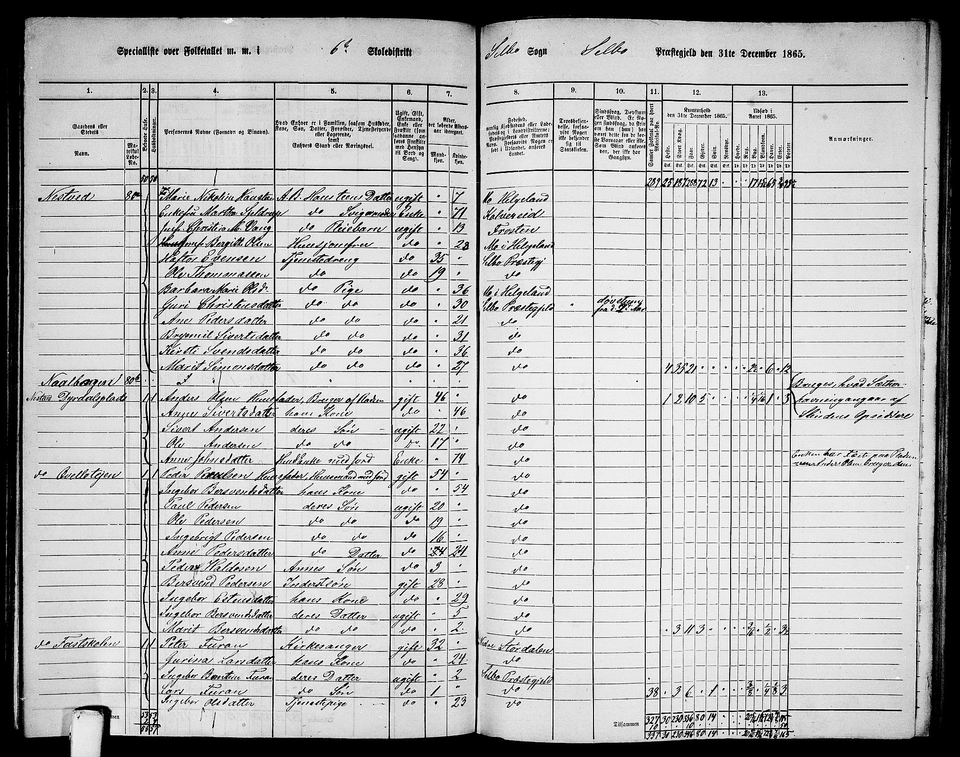 RA, 1865 census for Selbu, 1865, p. 101